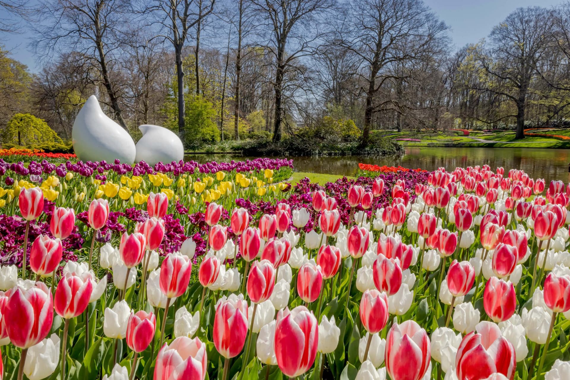 Go City Amsterdam All-Inclusive Pass: Save up to 50% on Attractions - სურათი 6