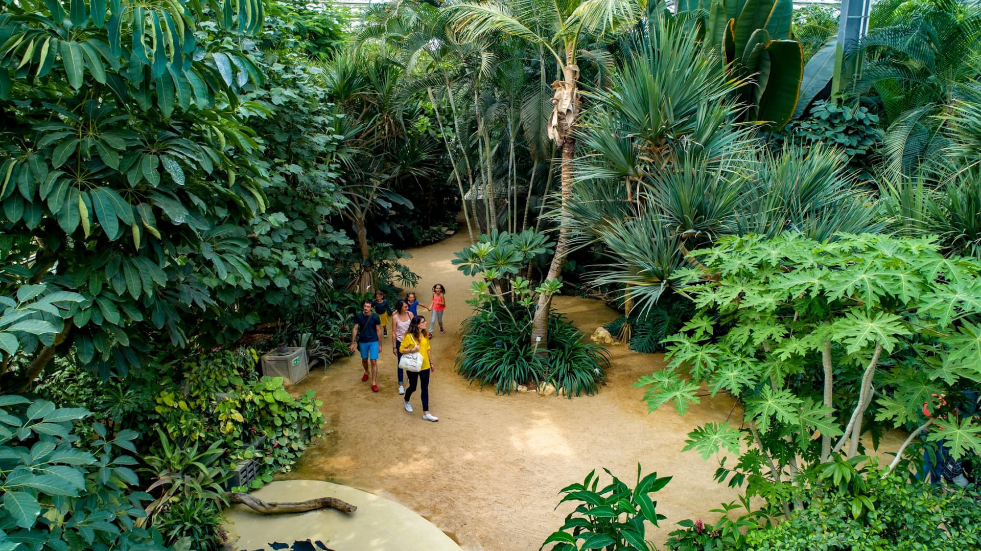 Terra Botanica Ticket - სურათი 12