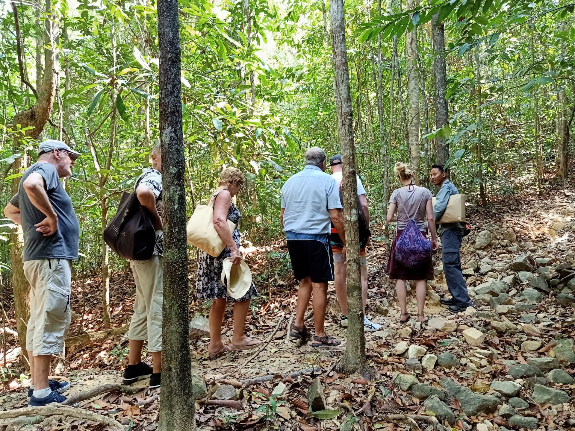 Langkawi Morning Rainforest Walking Tour - სურათი 2