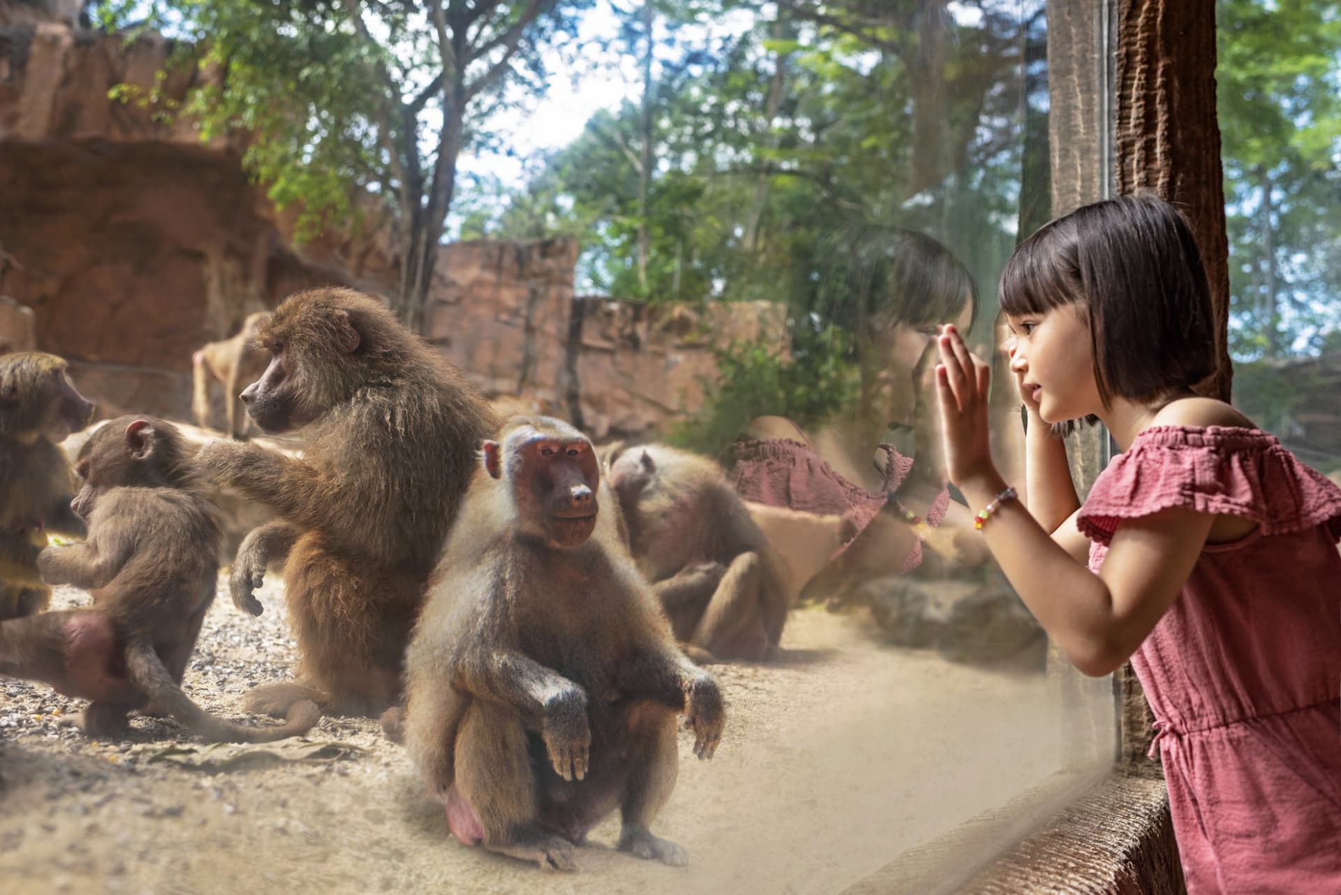 COMBO: Singapore Zoo + River Wonders Ticket - სურათი 8