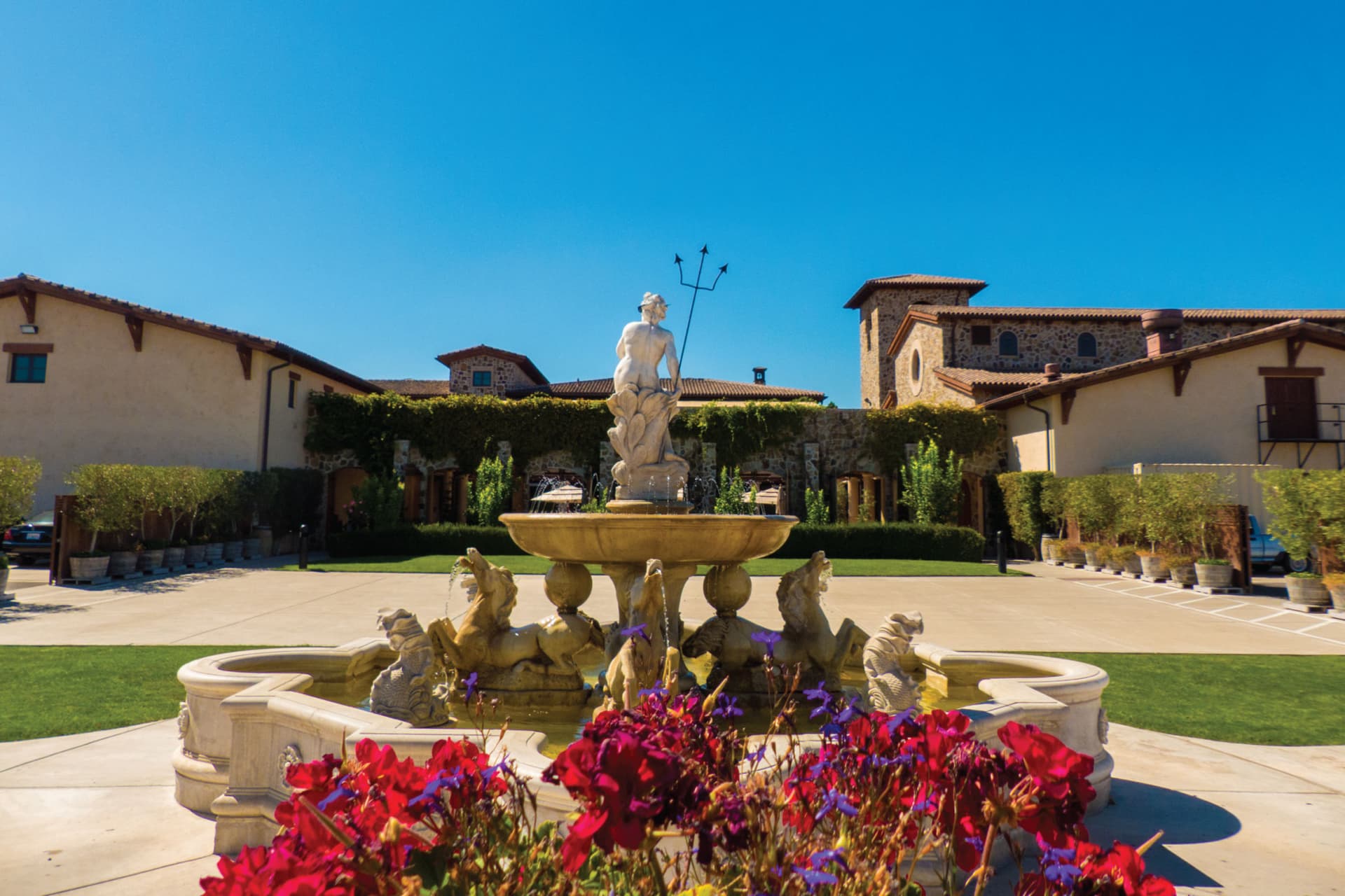 San Francisco Half-Day Wine Country Tour - სურათი 2