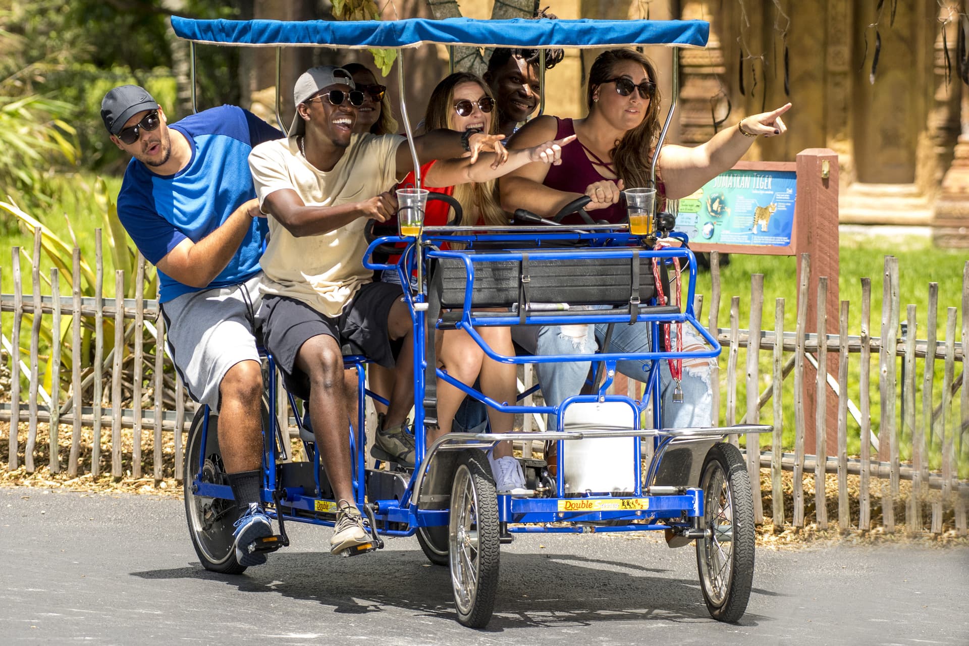 Go City Miami Essentials Pass: 3 Attractions - სურათი 10