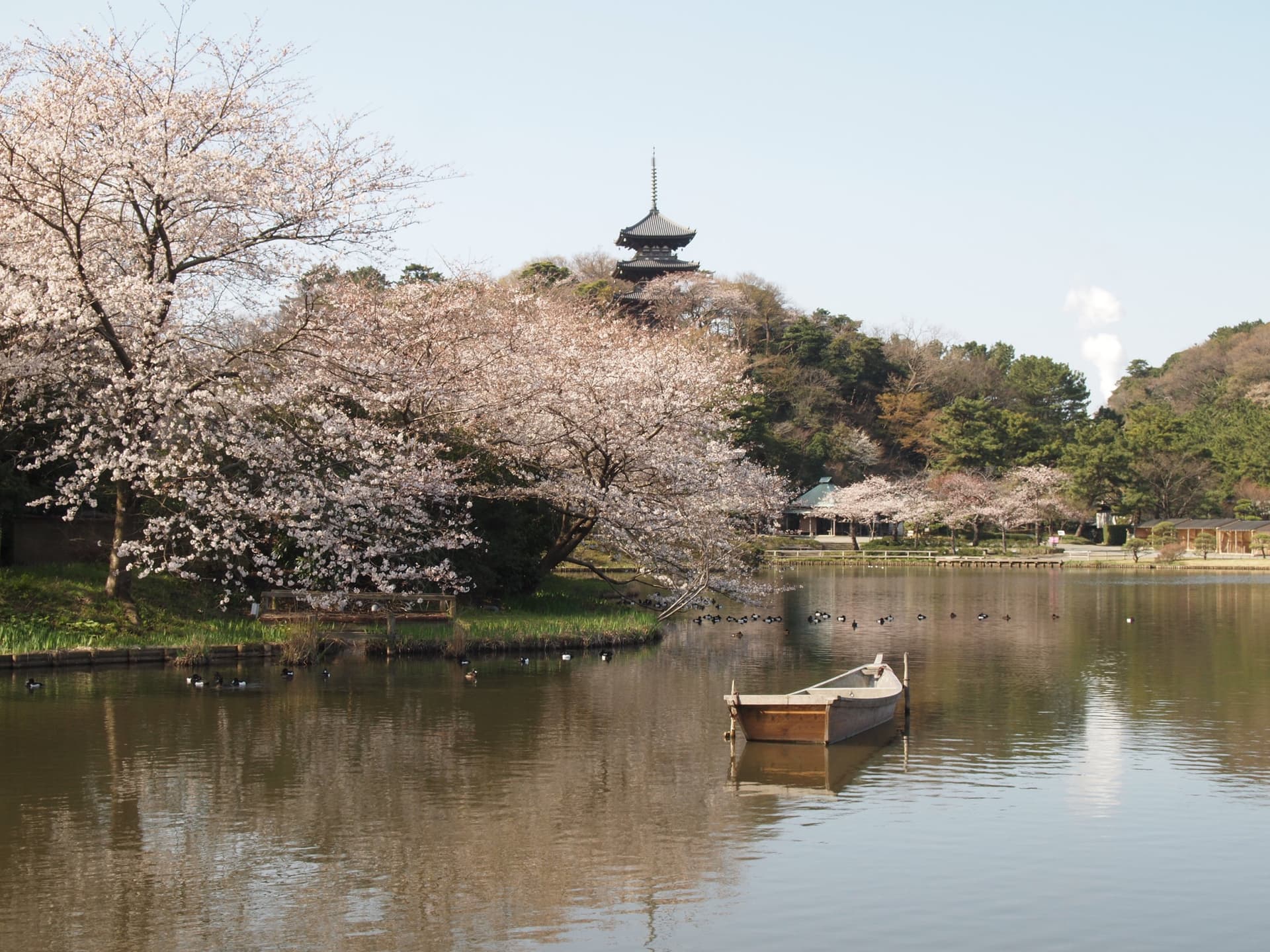 Sankeien Garden Ticket - სურათი 9