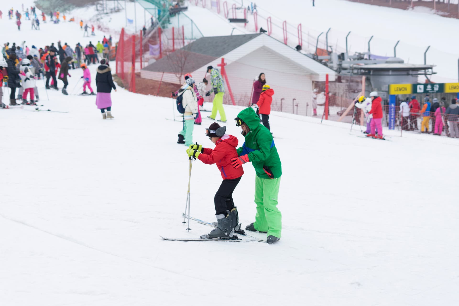 Jisan Forest Ski Resort Full-Day Tour from Seoul - სურათი 3