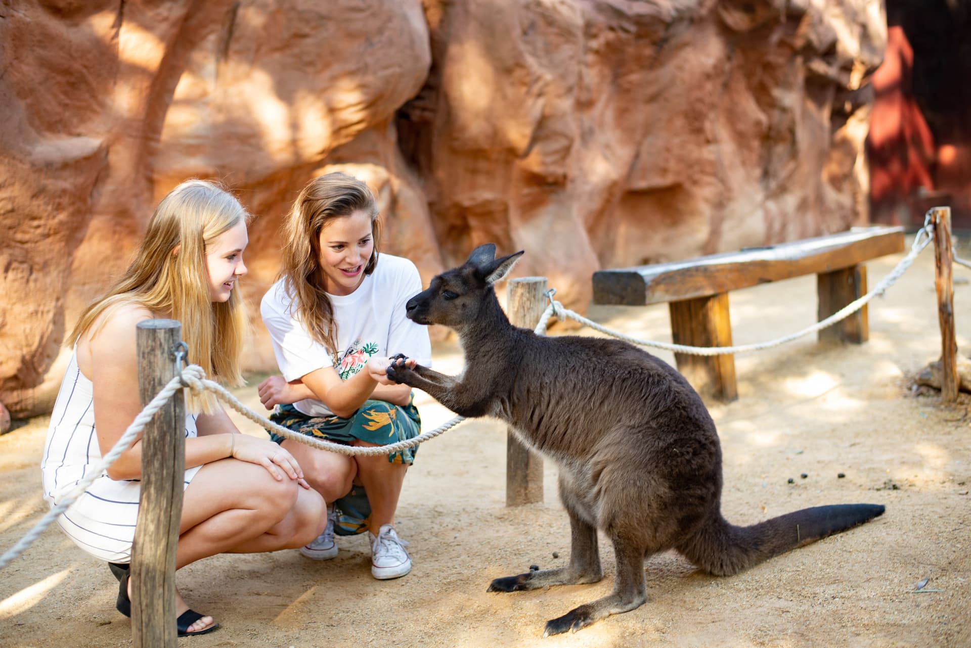 Sydney Multi-Attraction Pass - სურათი 4