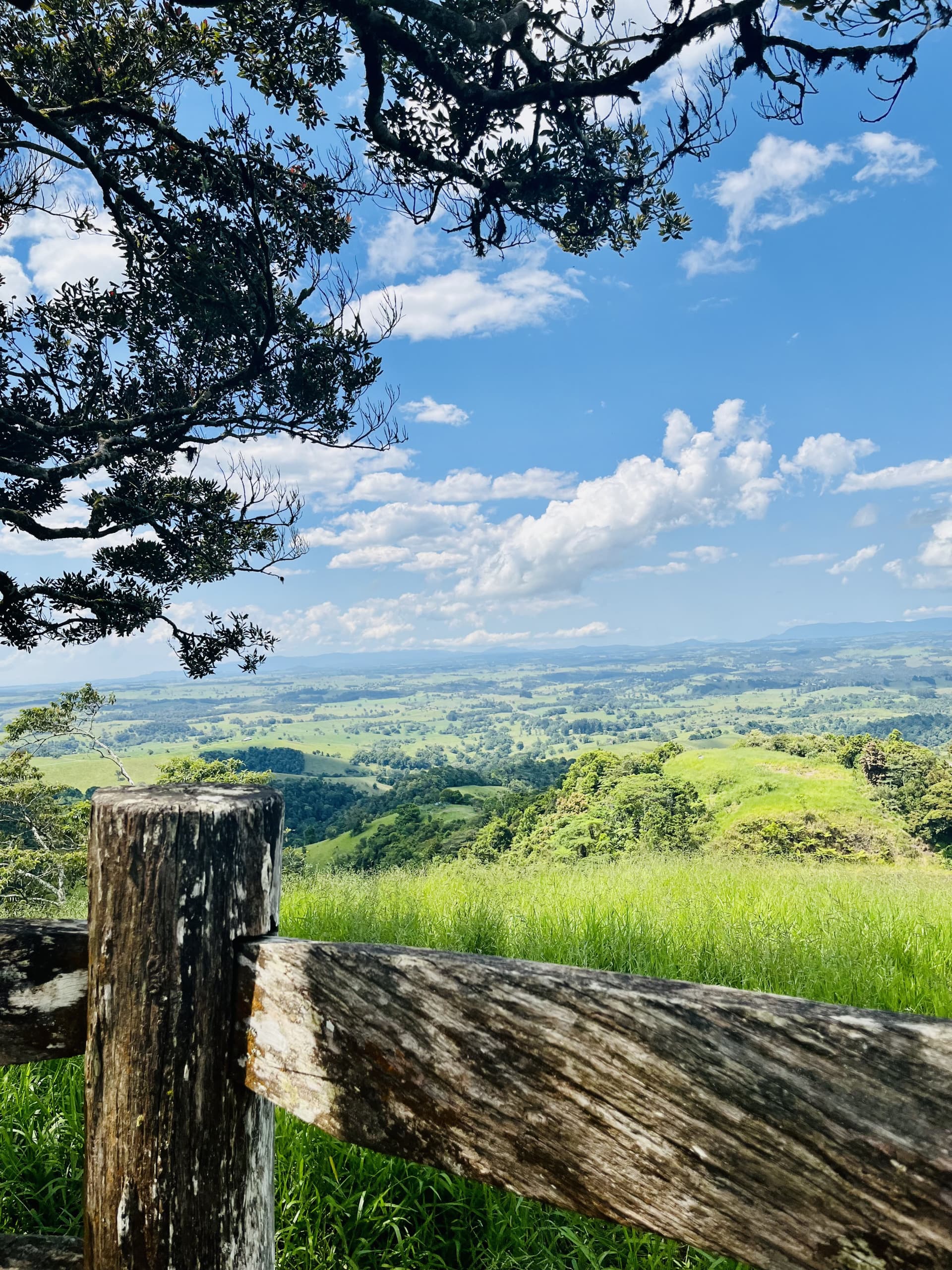 Australian Outback Food and Wine Tasting Tour from Port Douglas - სურათი 9