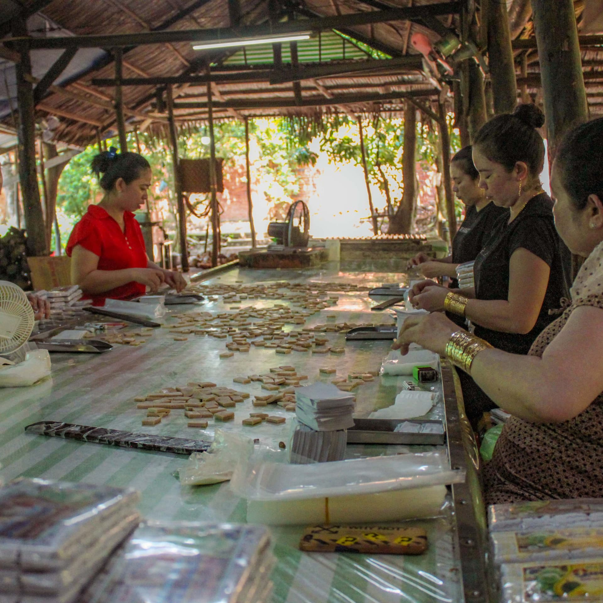 Cu Chi Tunnels and Mekong Delta Full-Day Tour from Ho Chi Minh - სურათი 21