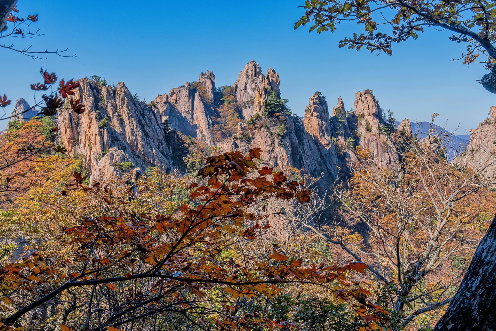Mt. Seorak National Park Autumn Foliage One Day Tour from Seoul - სურათი 9