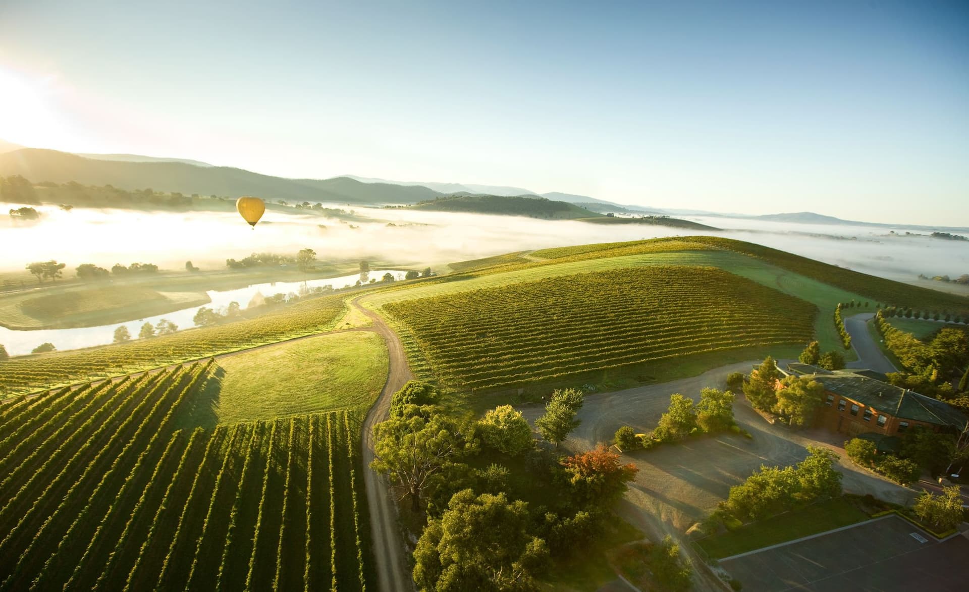 Sunrise Hot Air Balloon Flight over Yarra Valley with Photos - სურათი 4