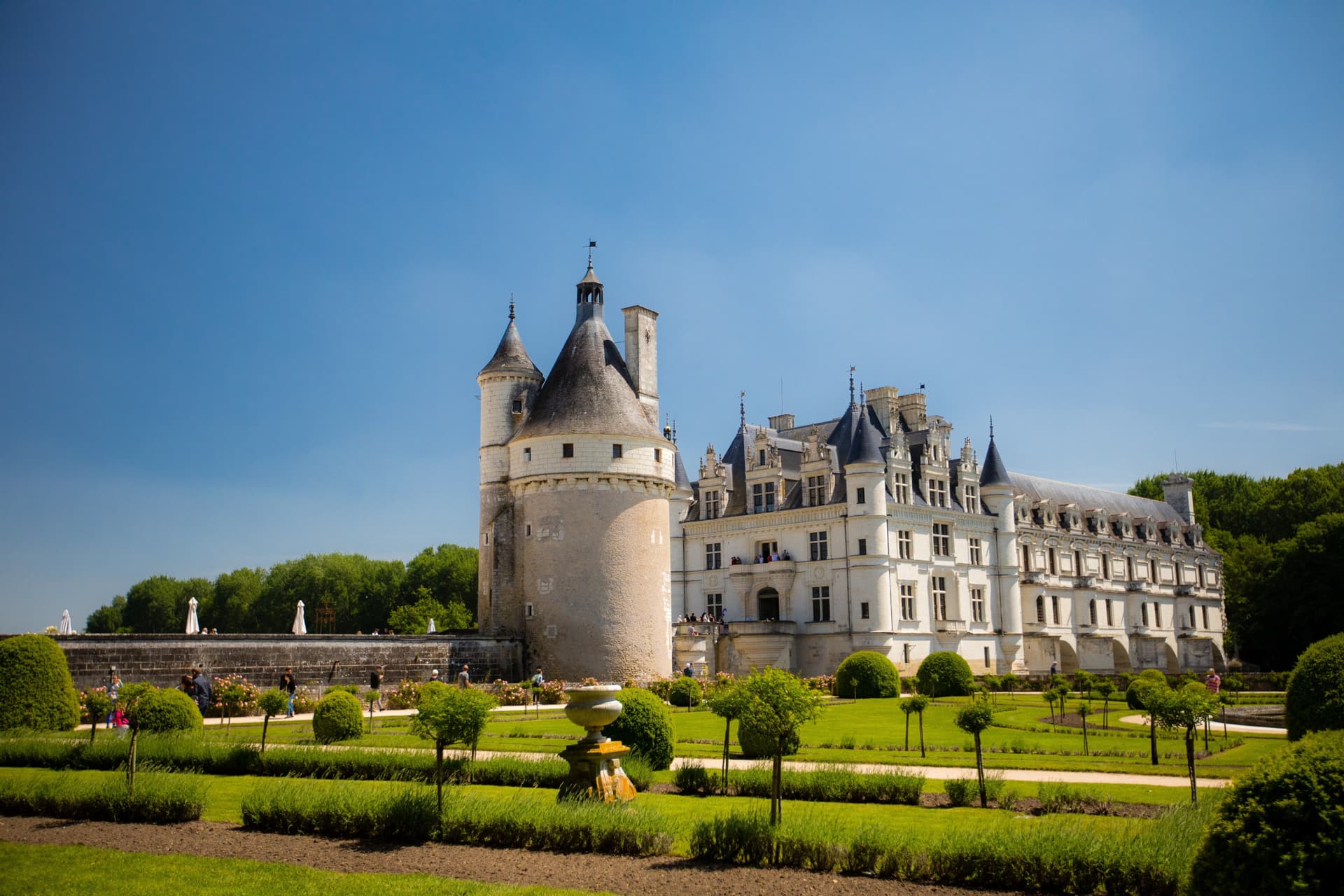 Loire Valley Tour from Paris: Chambord, Chenonceau, and Cheverny Castles - სურათი 14