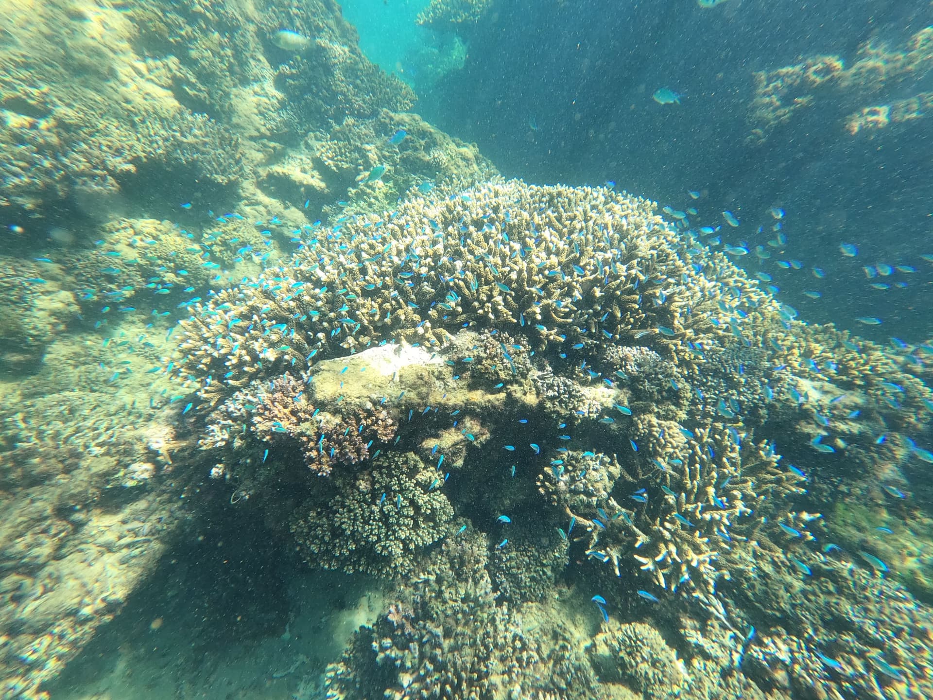 Moreton Island 1-Day Adventure Tour with Kayaking and Sandboarding - სურათი 14