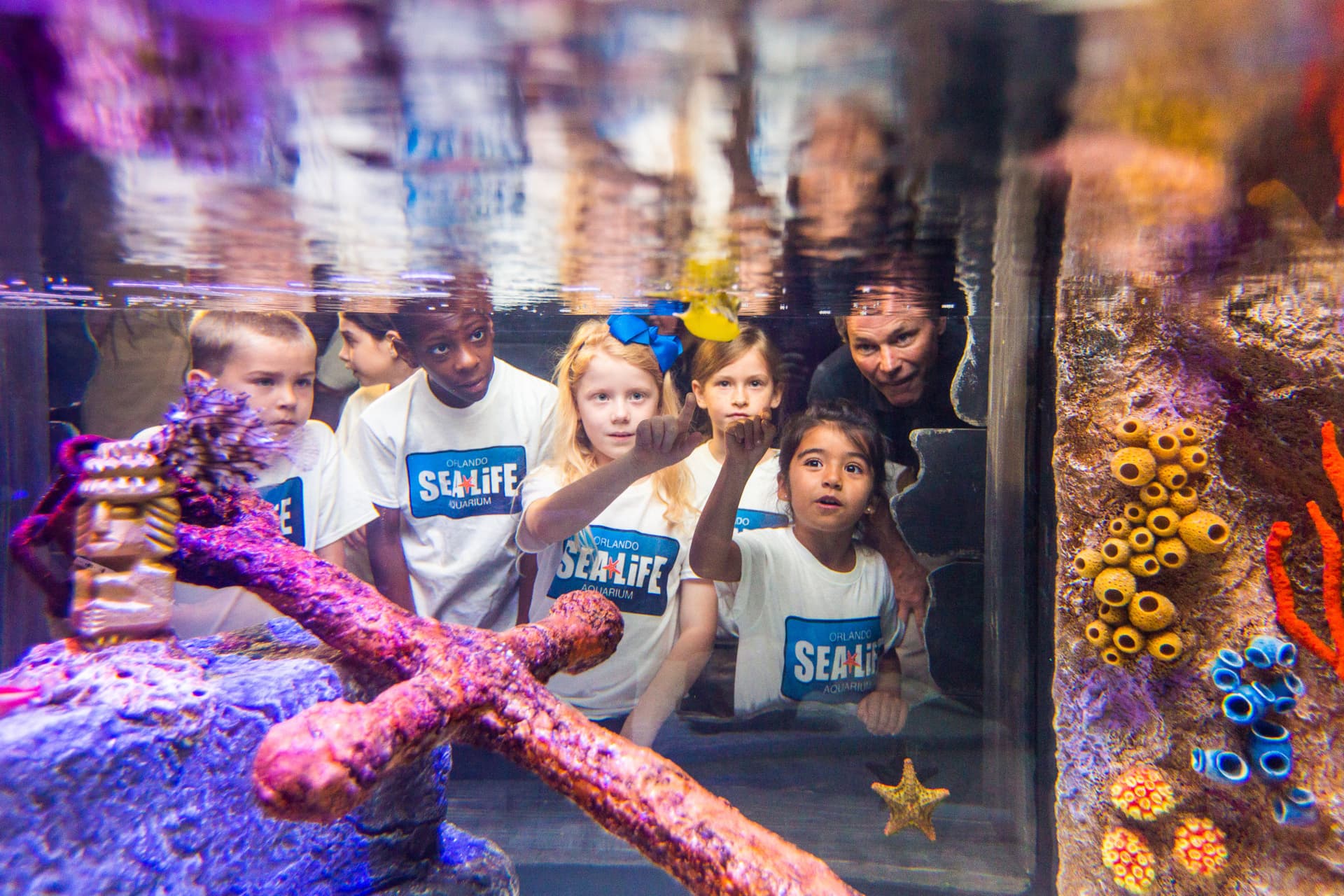 Go City Orlando All-Inclusive Pass: Save up to 50% on Attractions - სურათი 25