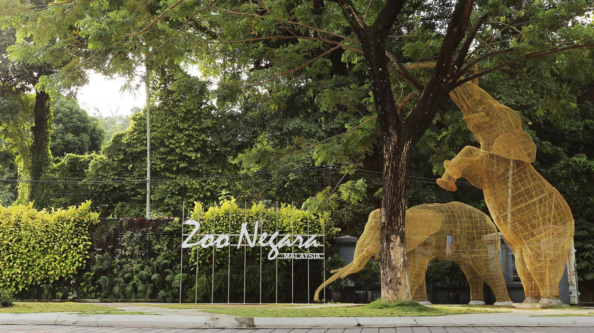 Zoo Negara Malaysia & Panda Conservation Centre Ticket - სურათი 22