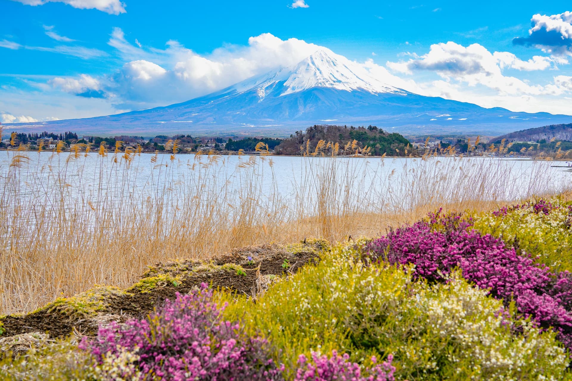 Mount Fuji, Kamakura, Lake Ashi, and Big Buddha Full-Day Tour from Tokyo - მთავარი სურათი