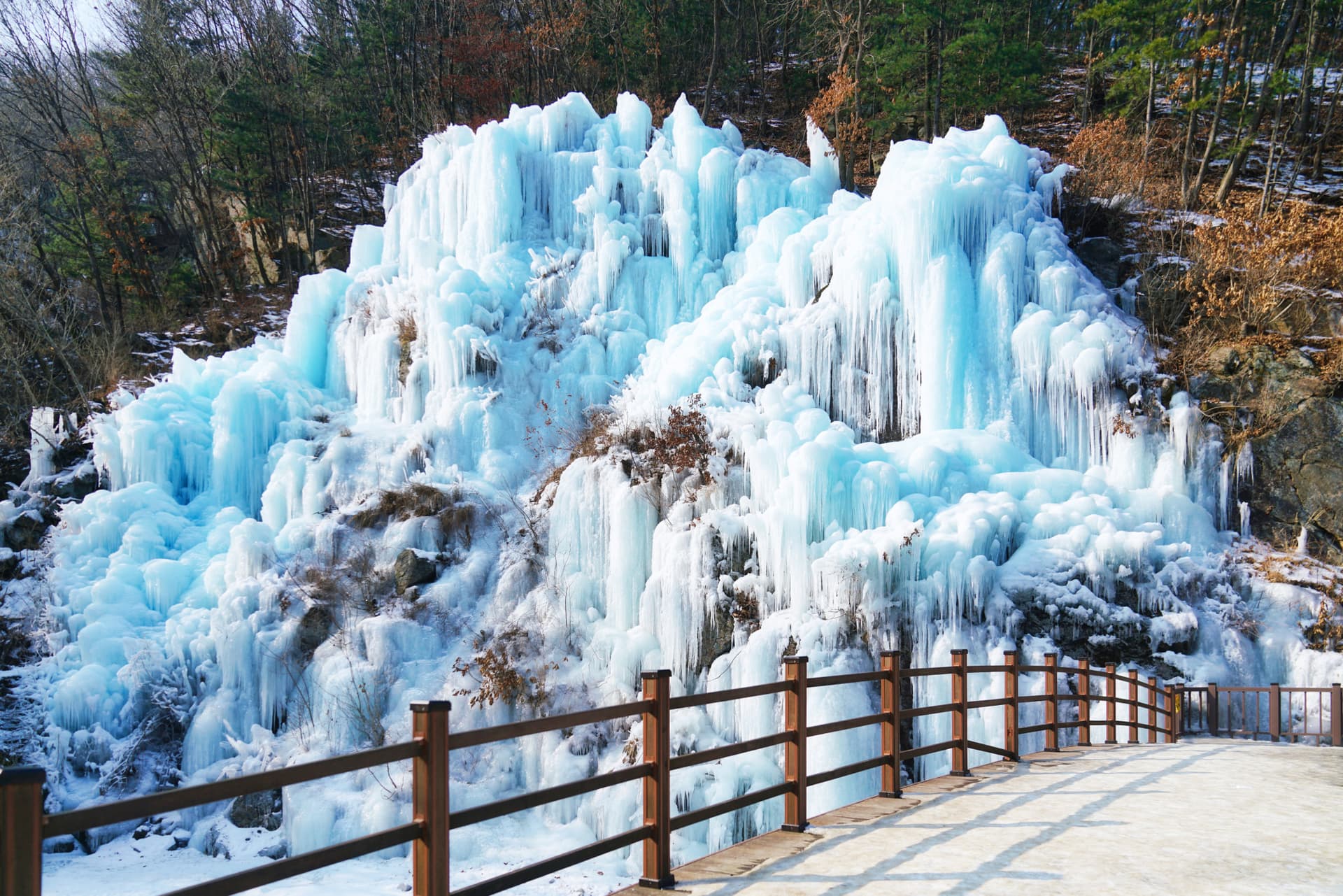 Nami Island, Petite France, Italian Village, and Gangchon Rail Bike Tour from Seoul - სურათი 11