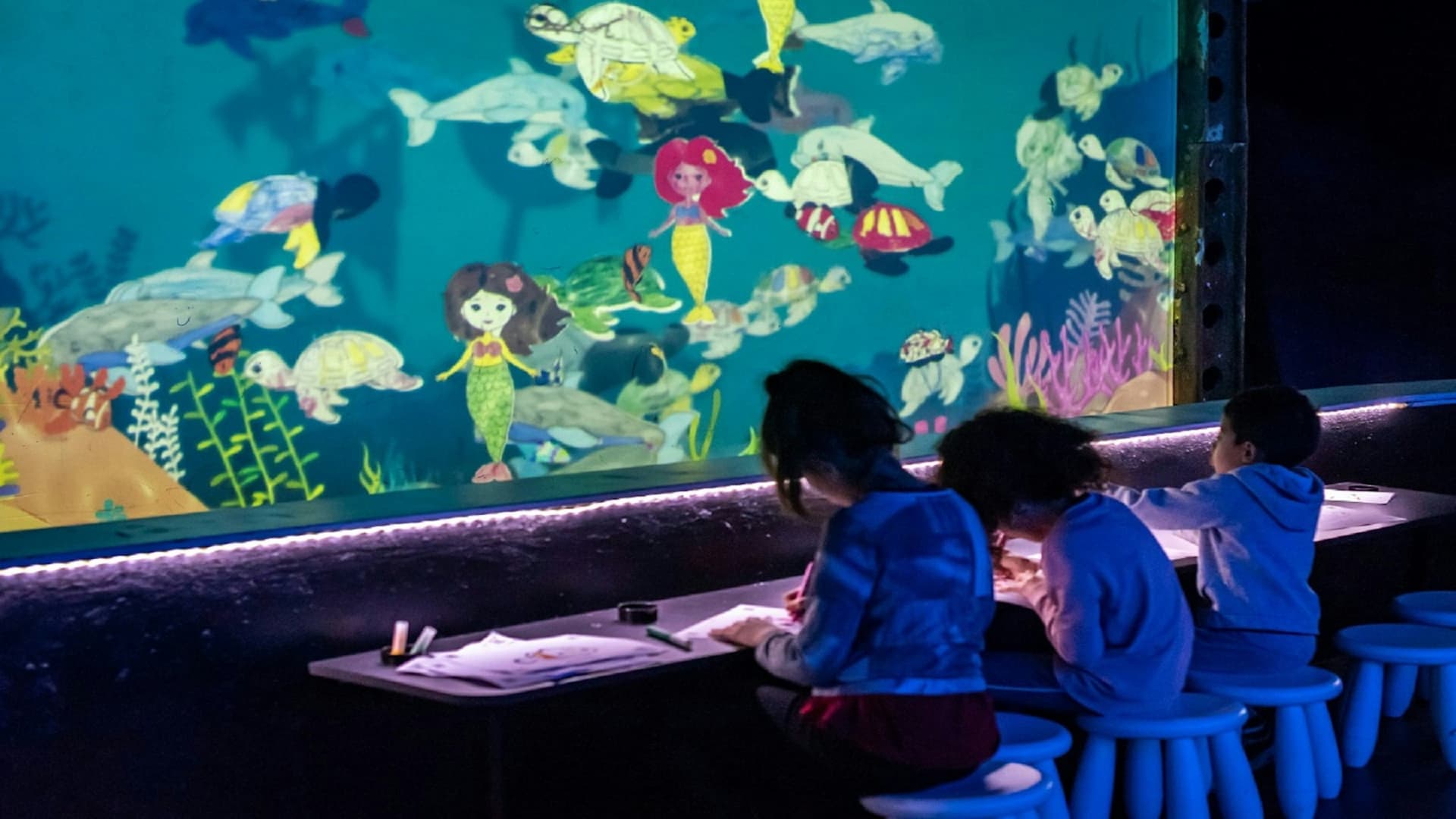 Seaquarium Le Grau-du-Roi Ticket - სურათი 5