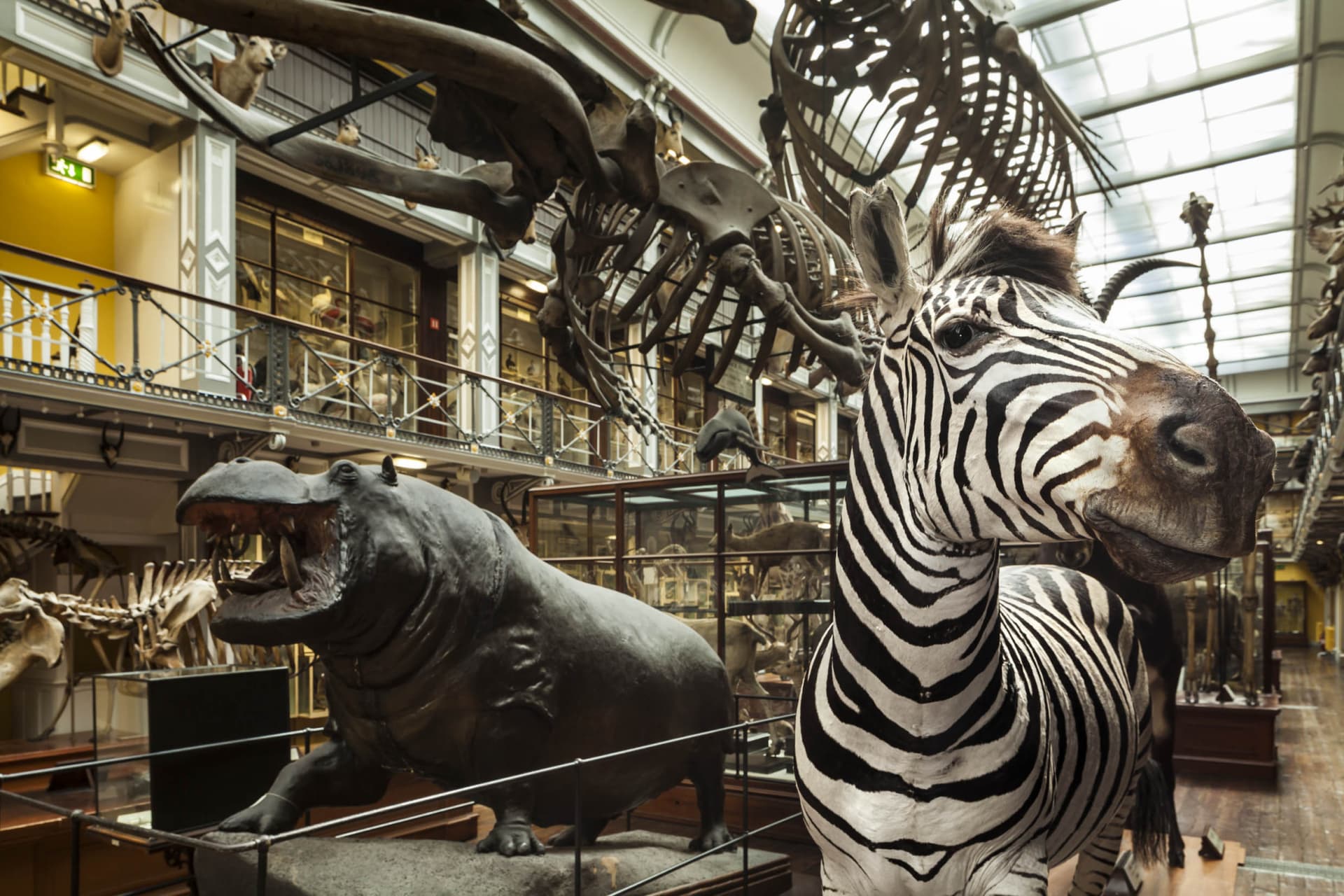 Go City Dublin All-Inclusive Pass: Save up to 50% on Attractions - სურათი 37
