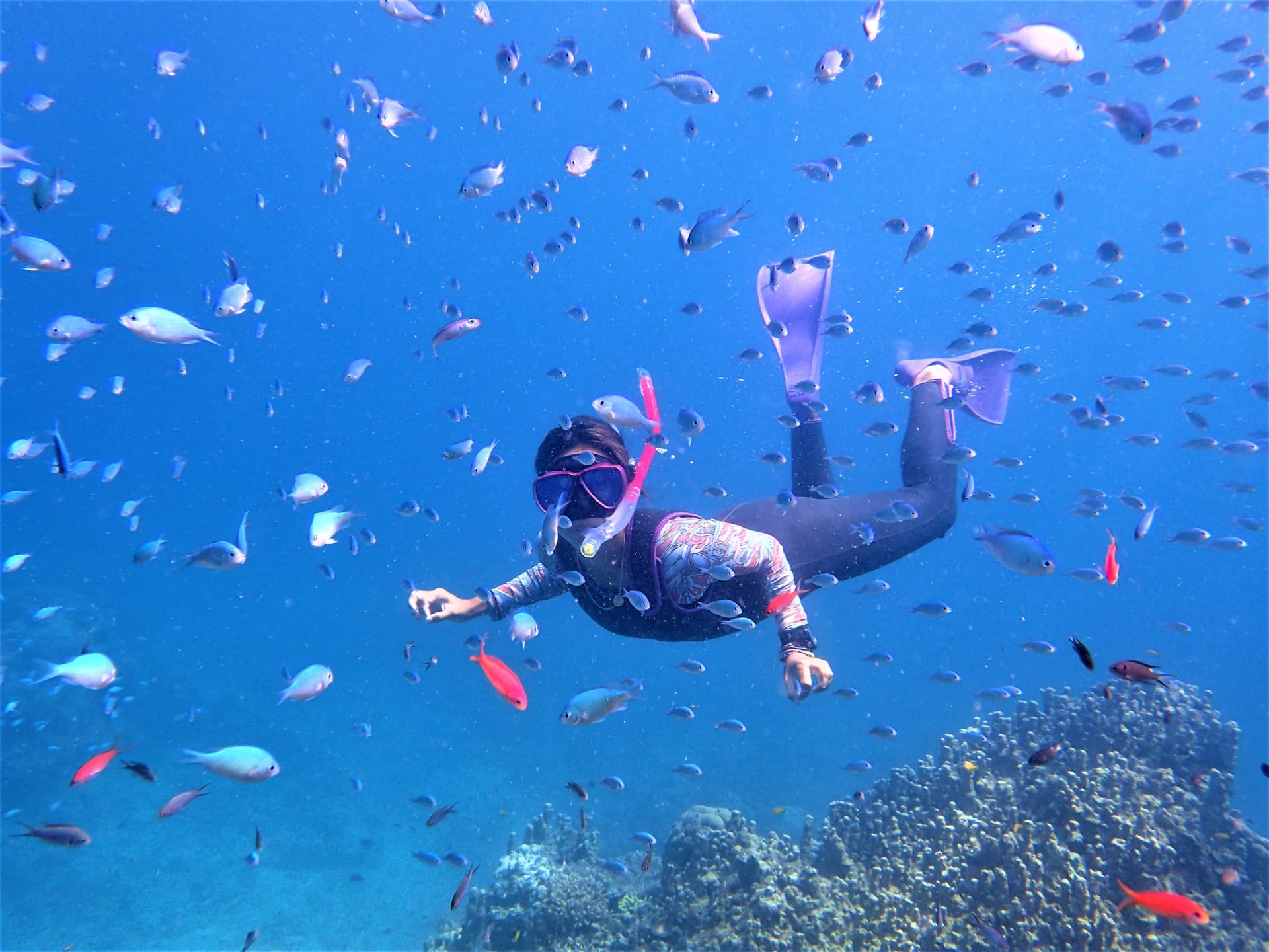 Half-Day Morning Snorkeling Tour with Phantom Island Visit - სურათი 4