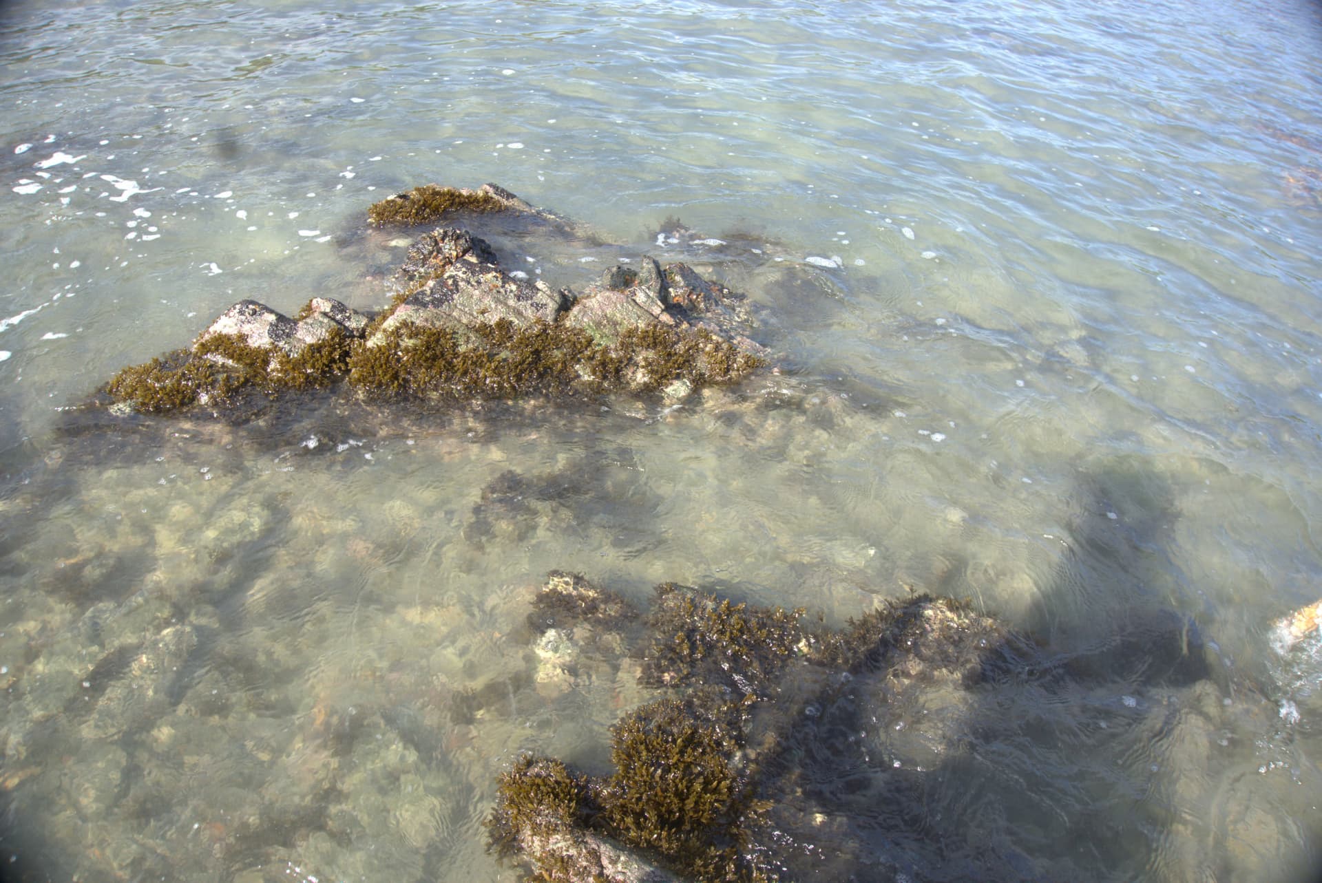 Desaru Beach and Tide Pool Walk - სურათი 40