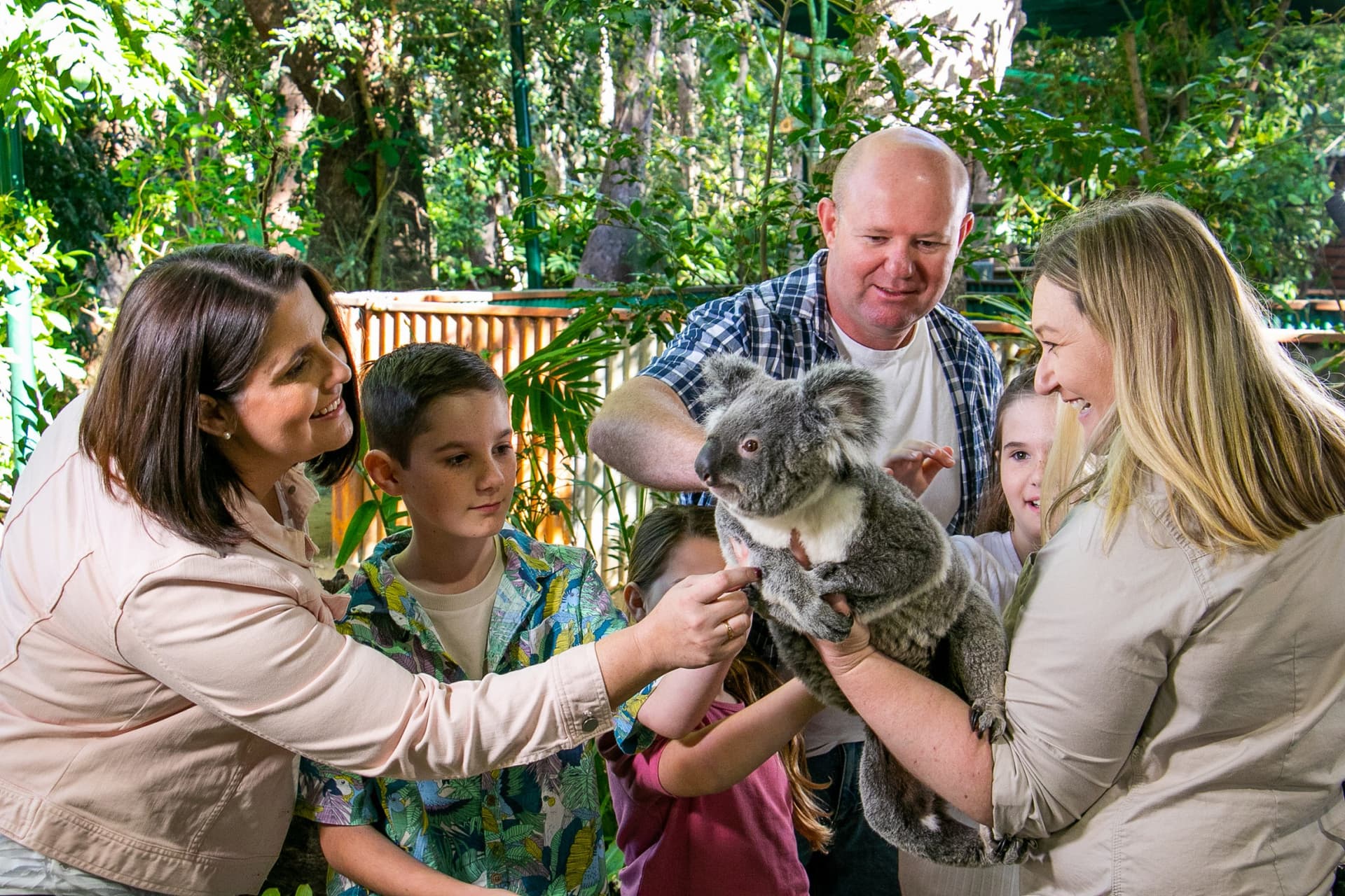 Currumbin Wildlife Sanctuary Gold Coast Ticket - სურათი 11