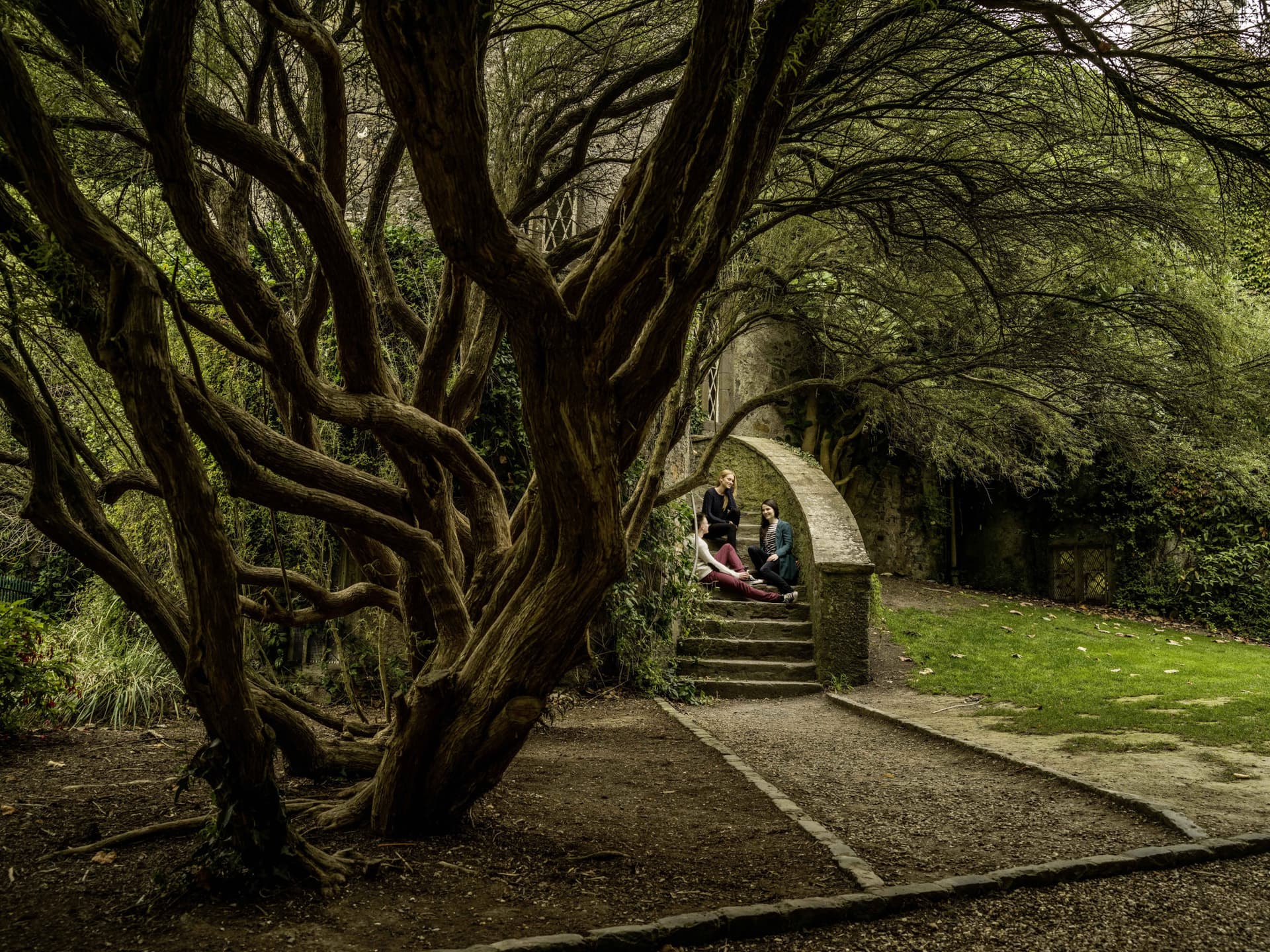 Go City Dublin All-Inclusive Pass: Save up to 50% on Attractions - სურათი 25