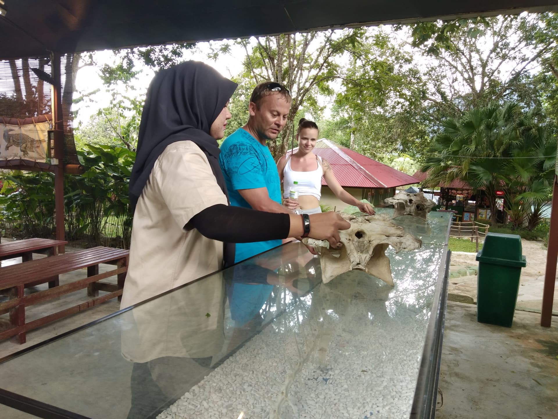 Crocodile Adventureland Langkawi - სურათი 11
