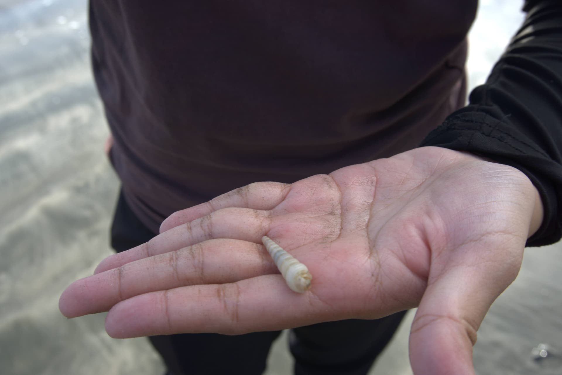 Desaru Beach and Tide Pool Walk - სურათი 19