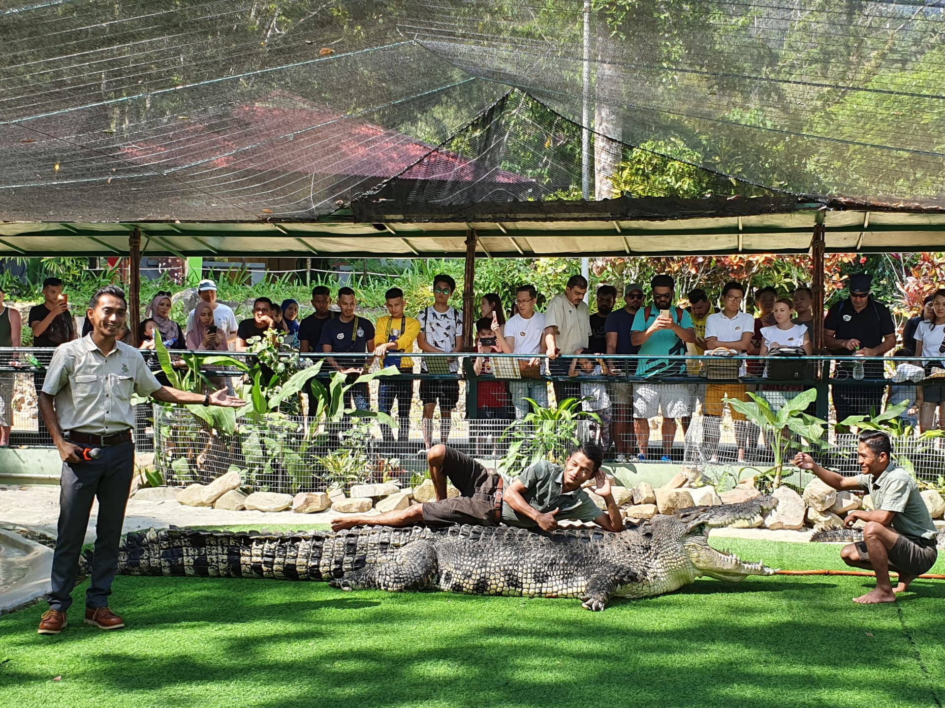 Crocodile Adventureland Langkawi - სურათი 8