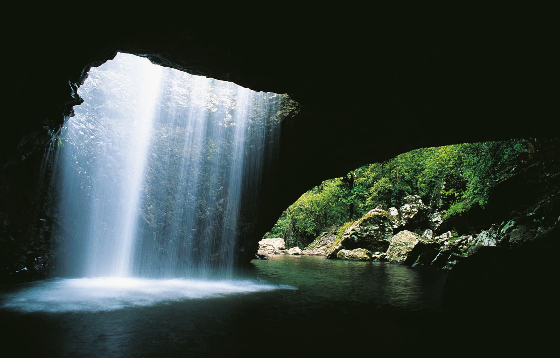 Gold Coast Full-Day Tour From Brisbane - მთავარი სურათი