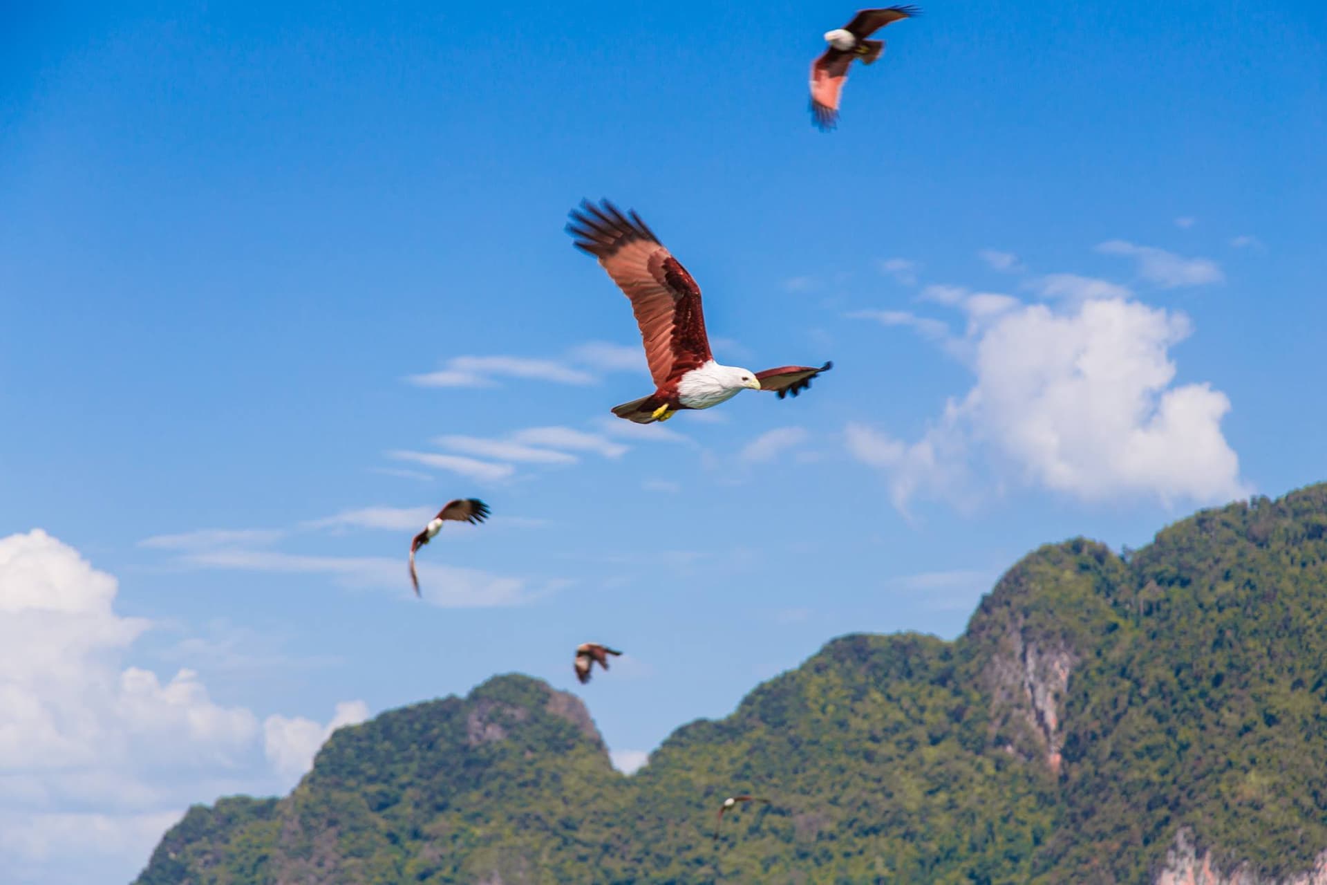 James Bond Island, Phang-Nga Bay, Hong Island, and Khai Island Tour from Phuket - სურათი 6