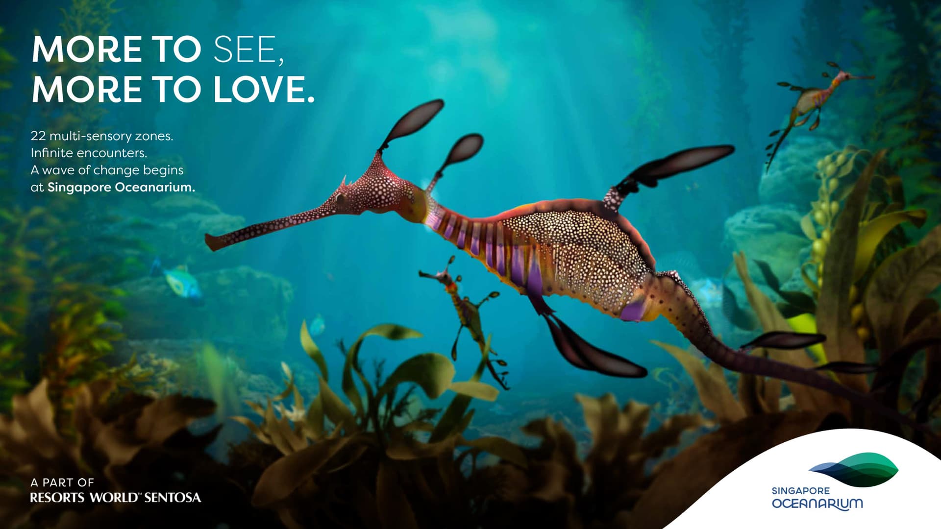 Singapore Oceanarium Insider Experience - მთავარი სურათი