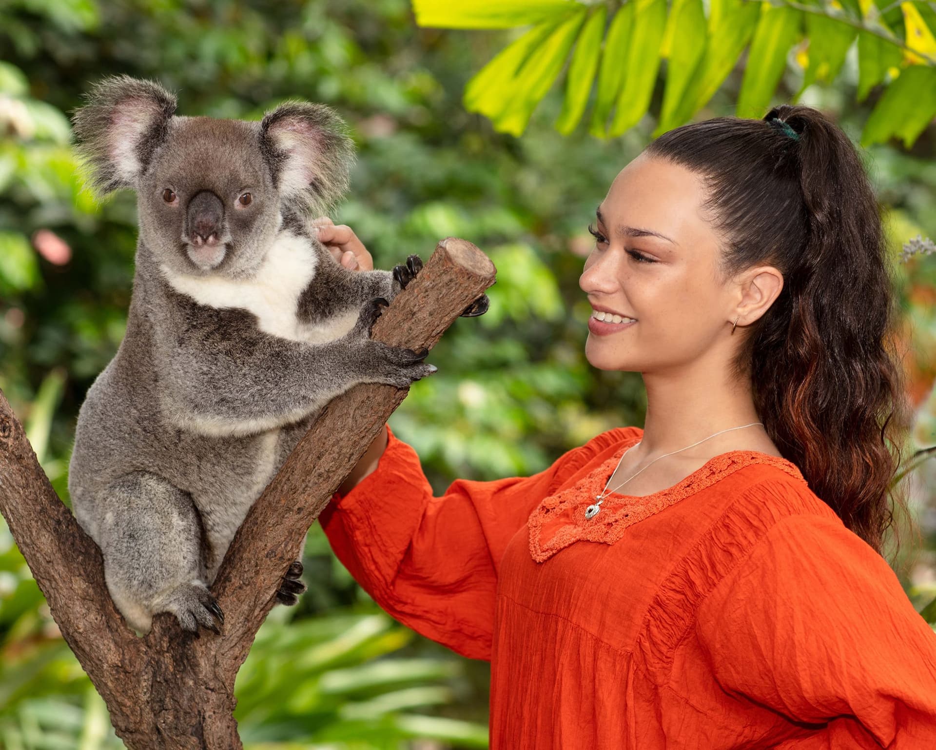 Kuranda Koala Gardens - სურათი 6