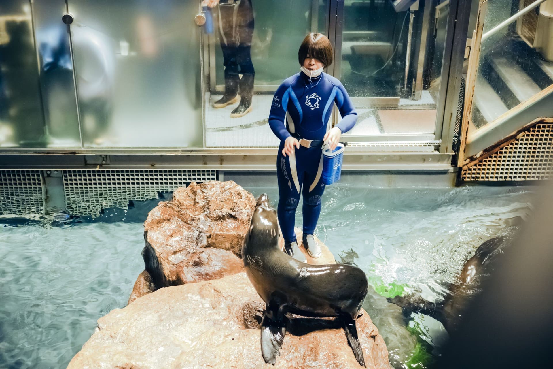 Sumida Aquarium Ticket - სურათი 4