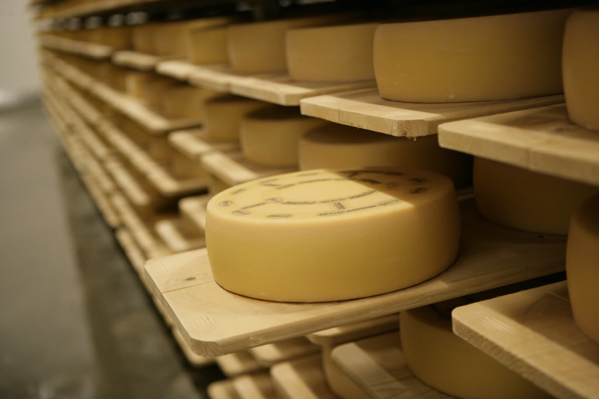 Appenzell Tour from Zurich with Cheese and Chocolate Tasting - სურათი 2