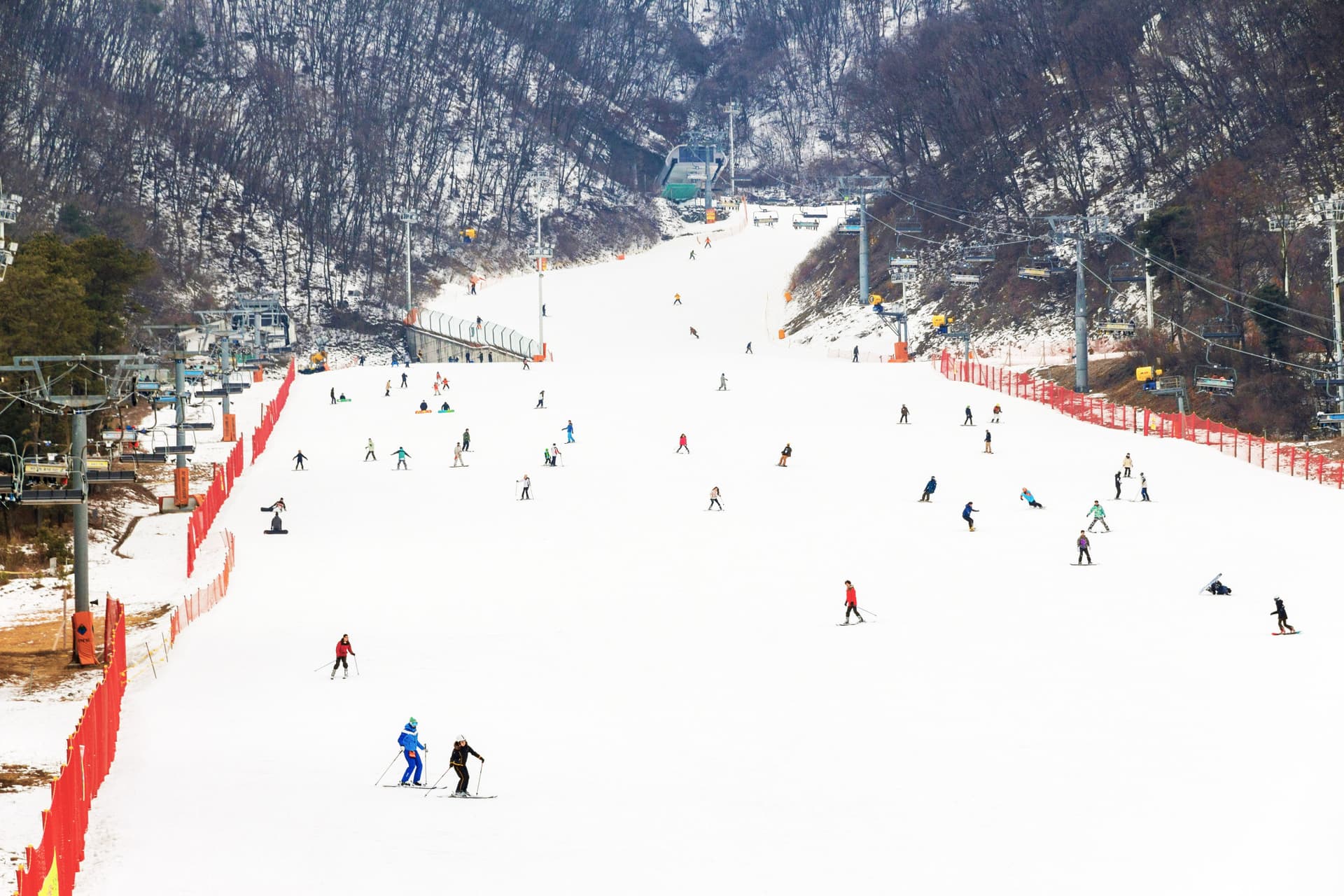 Jisan Forest Ski Resort Full-Day Tour from Seoul - მთავარი სურათი