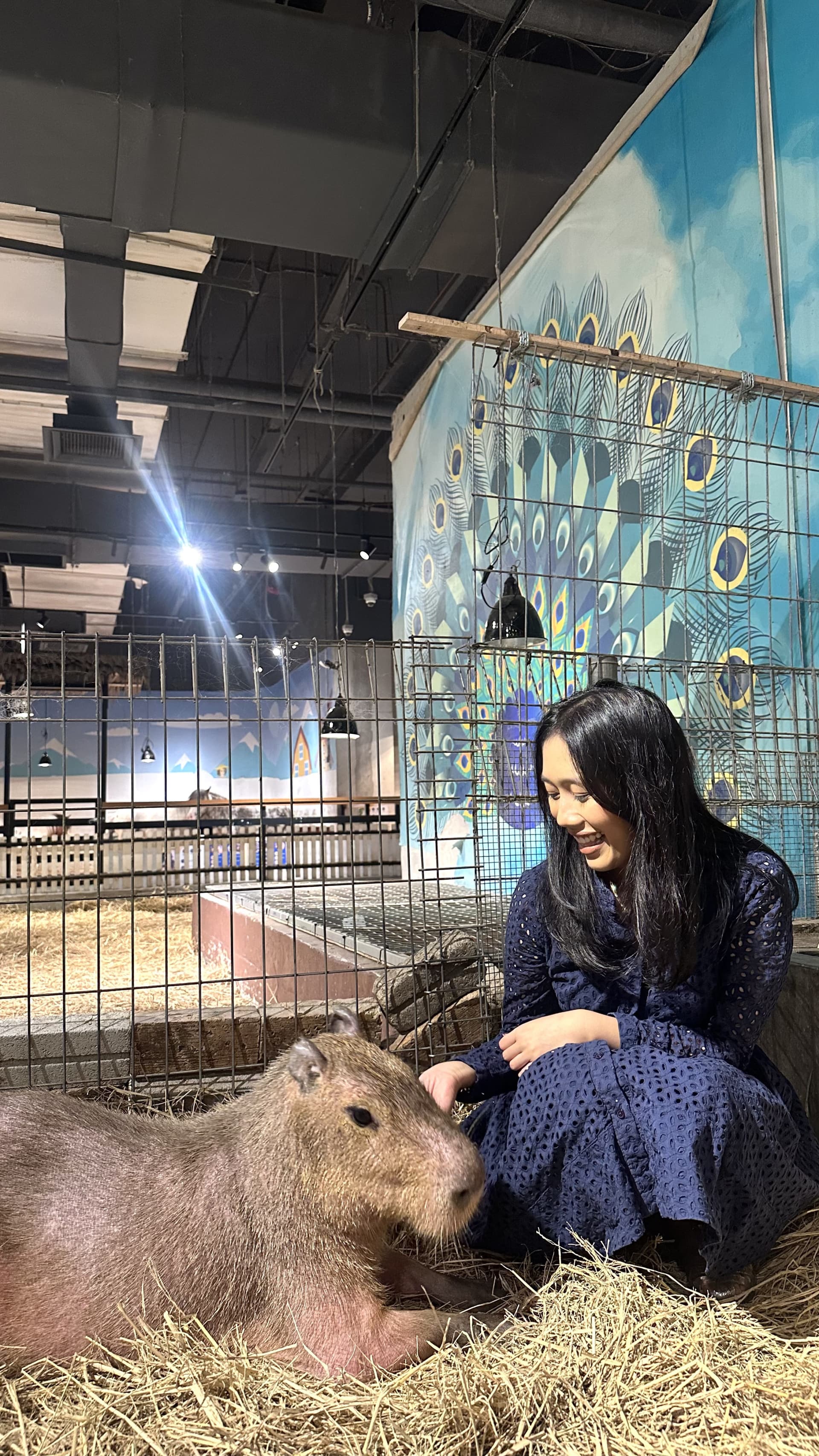 Just Farm Indoor Zoo Kuala Lumpur  (Previously Known As Just Pets Megastore) - სურათი 3