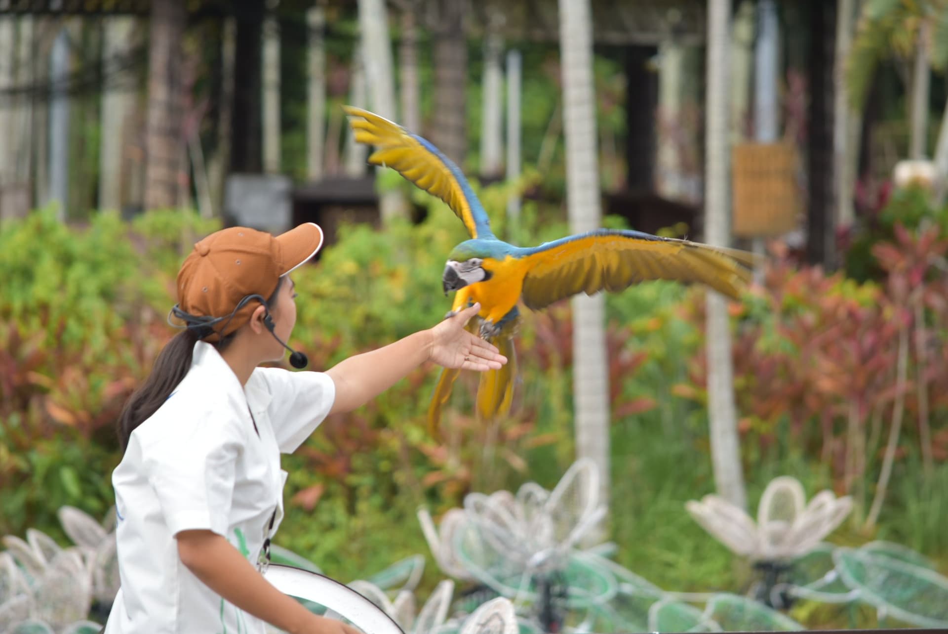 Okinawa Southeast Botanical Gardens - სურათი 35