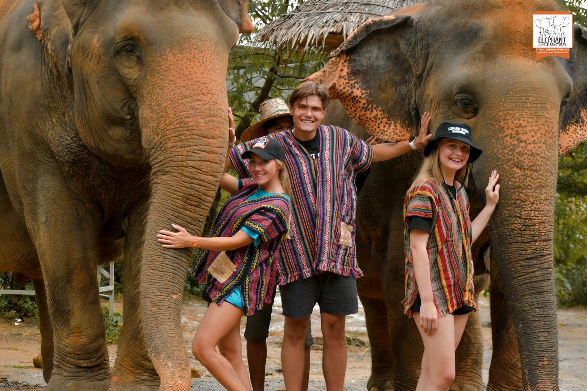 Elephant Jungle Sanctuary Phuket - სურათი 9