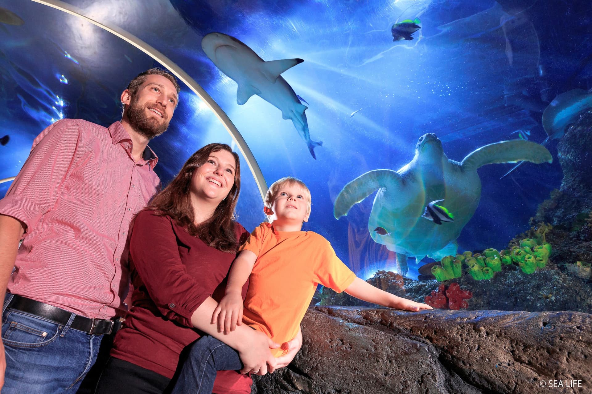 SEA LIFE Konstanz Aquarium Ticket - მთავარი სურათი