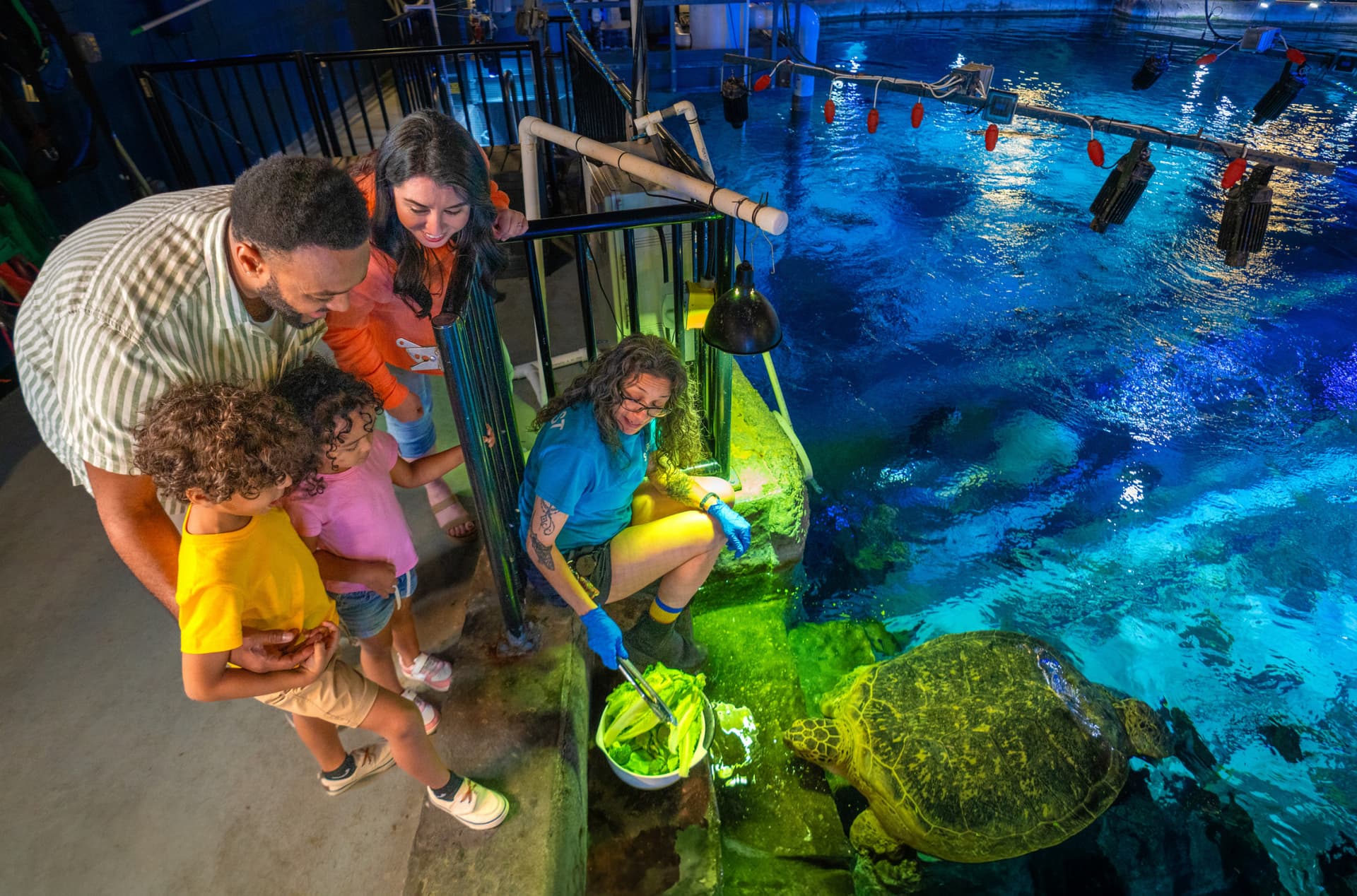 SEA LIFE Orlando Aquarium Ticket - სურათი 7