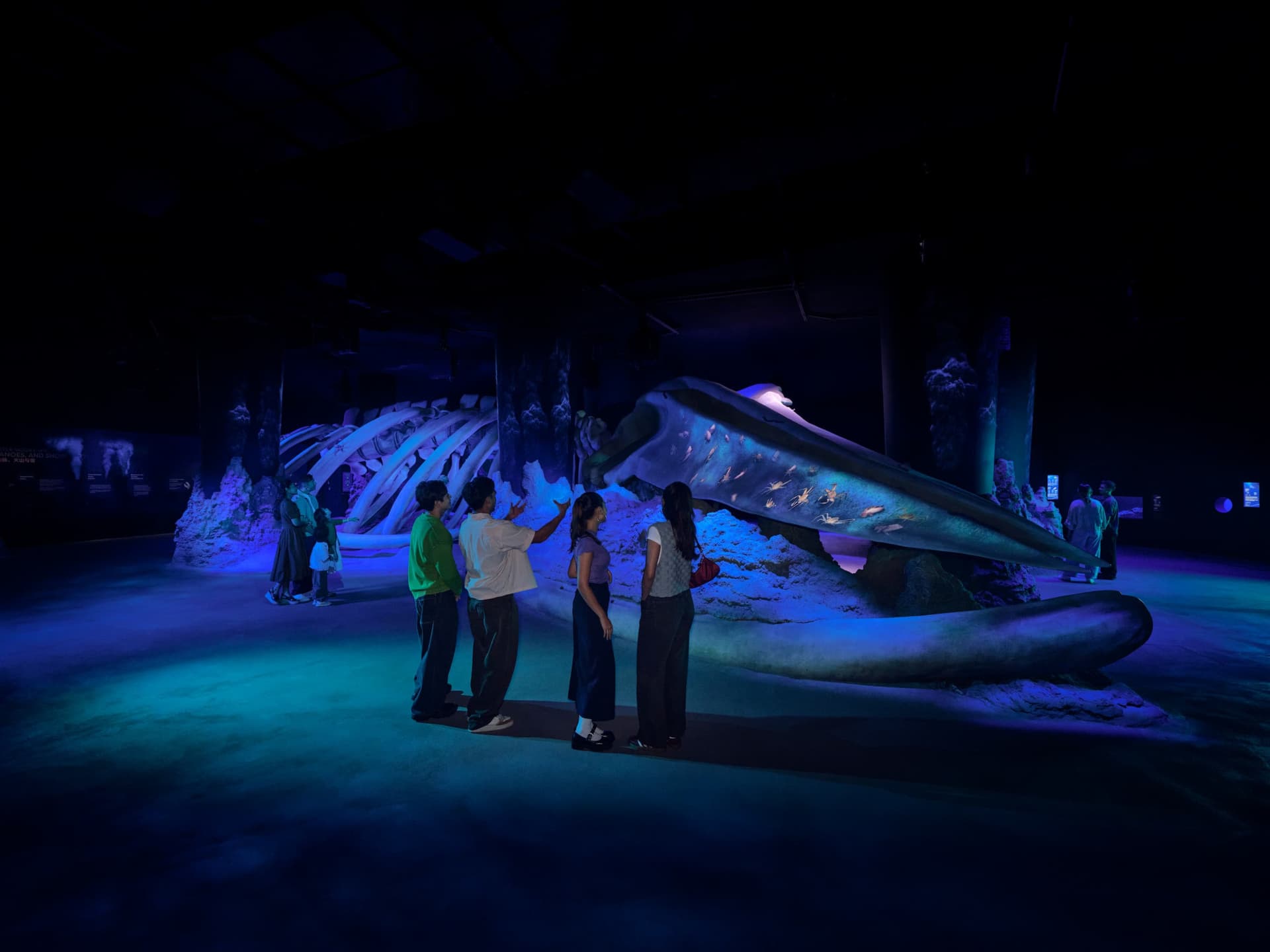 Singapore Oceanarium Ticket - სურათი 3