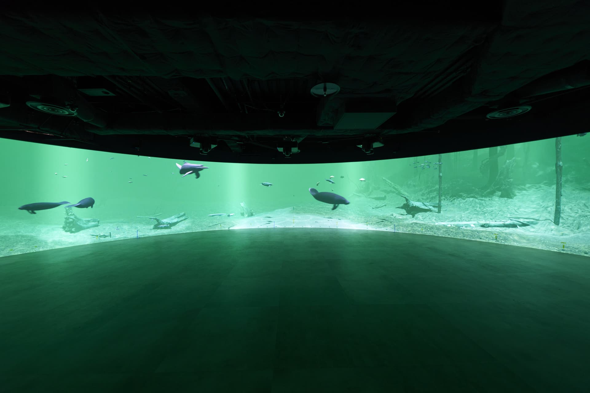 Kawasaki Aquarium Ticket - სურათი 10