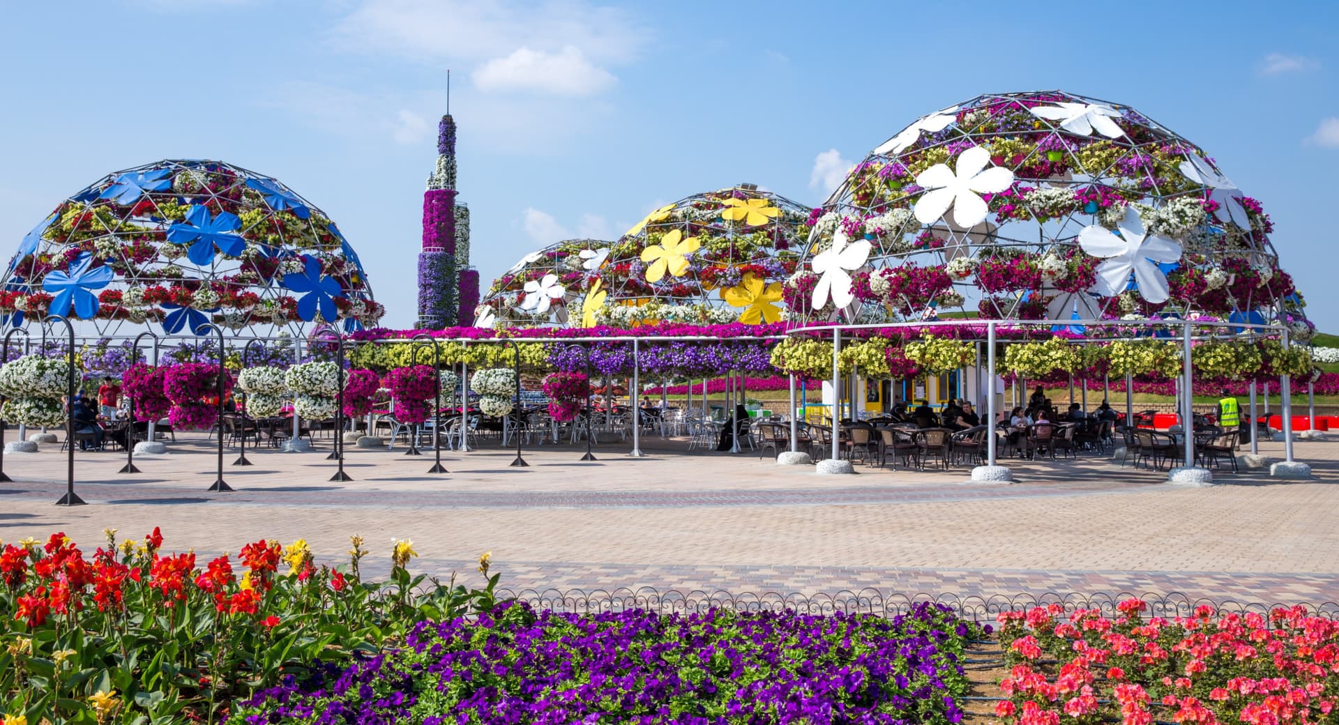 COMBO: Dubai Miracle Garden + Dubai Butterfly Garden Tickets - სურათი 4