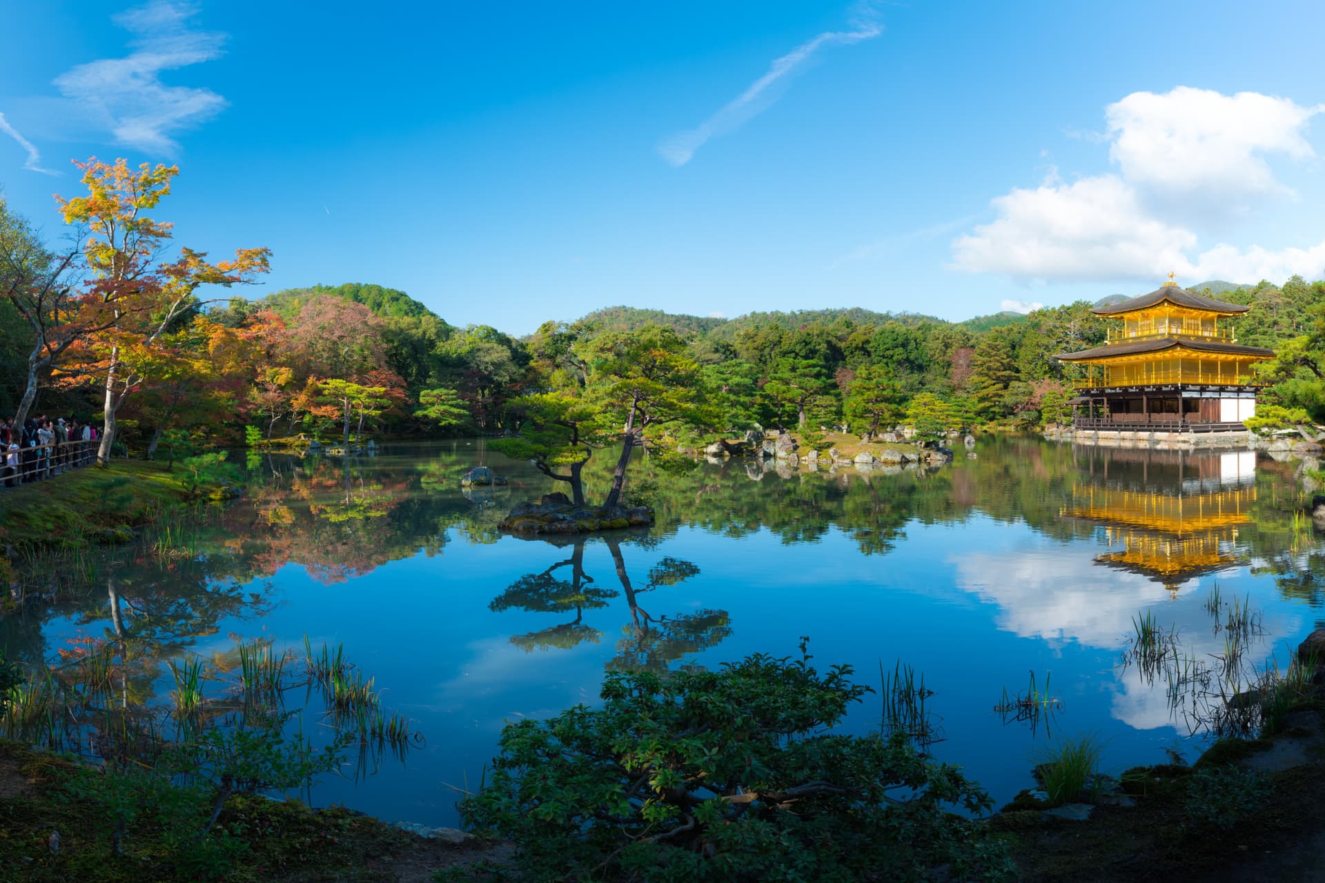 Kyoto and Nara Tour from Osaka - მთავარი სურათი