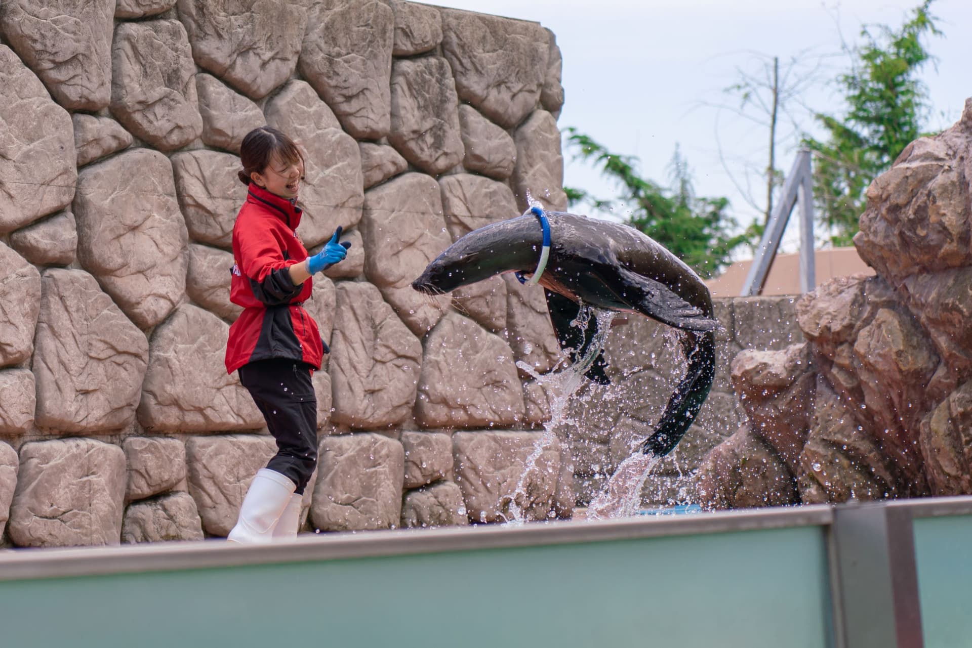 Nasu Animal Kingdom Ticket - სურათი 3