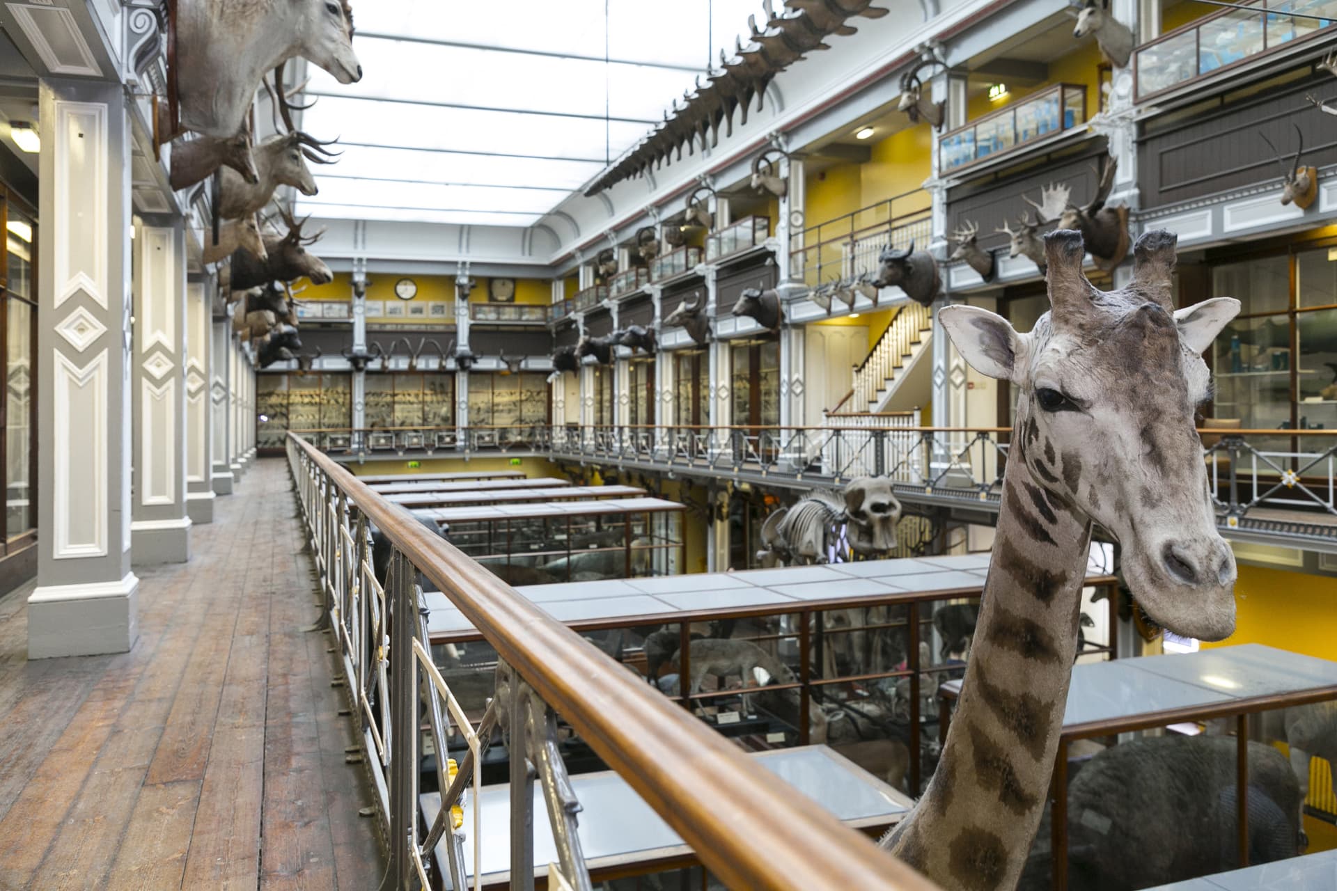 Go City Dublin All-Inclusive Pass: Save up to 50% on Attractions - სურათი 38
