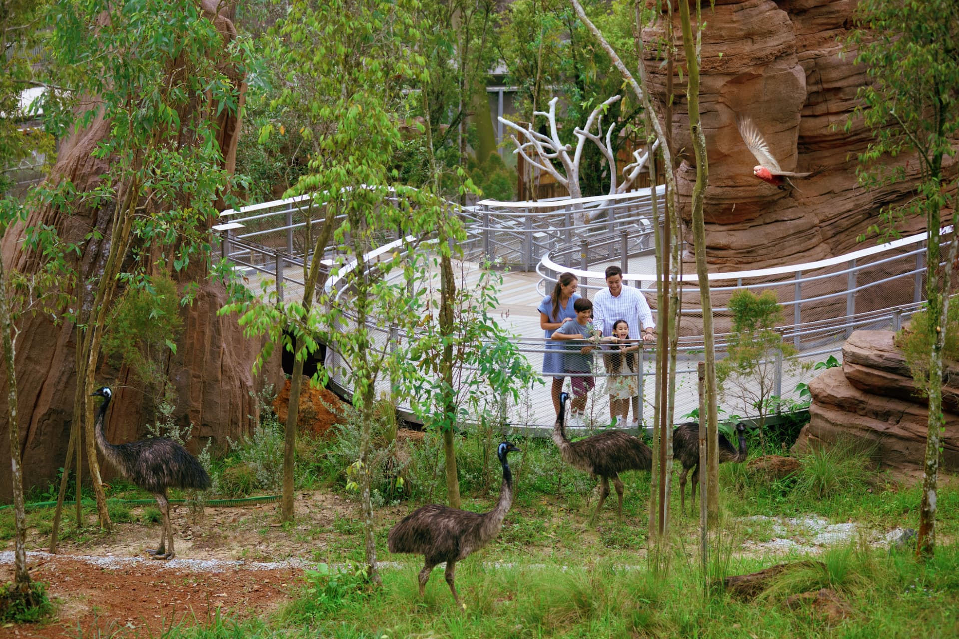 Singapore Bird Paradise Ticket - სურათი 12