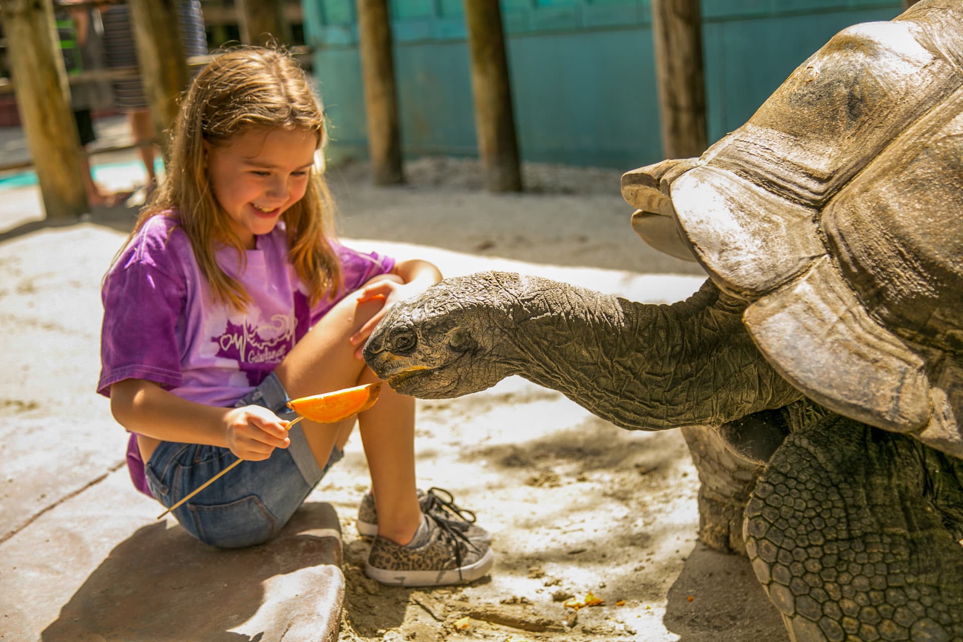 Go City Orlando Essentials Pass: 3 Attractions - სურათი 17