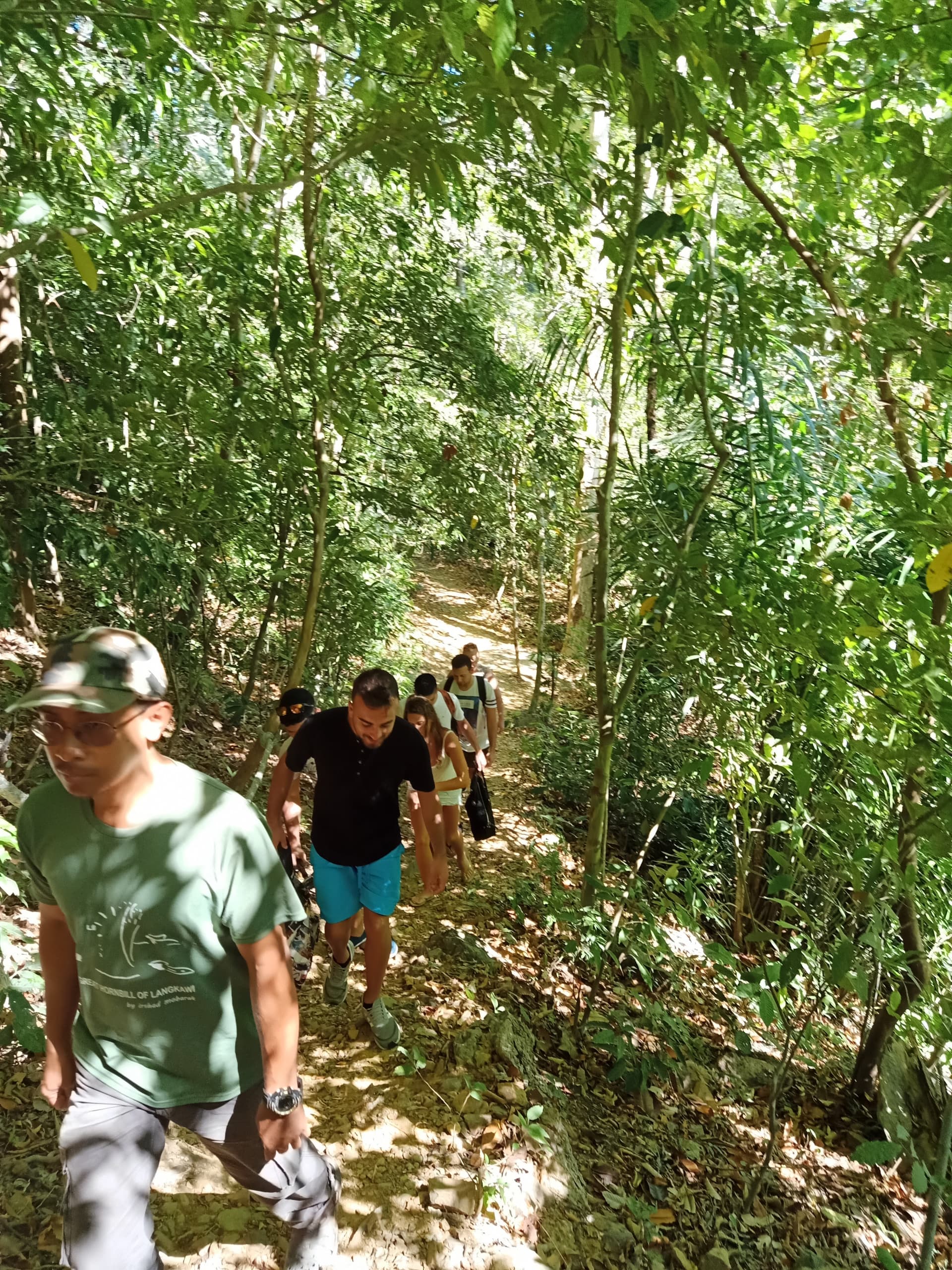 Langkawi Morning Rainforest Walking Tour - სურათი 9