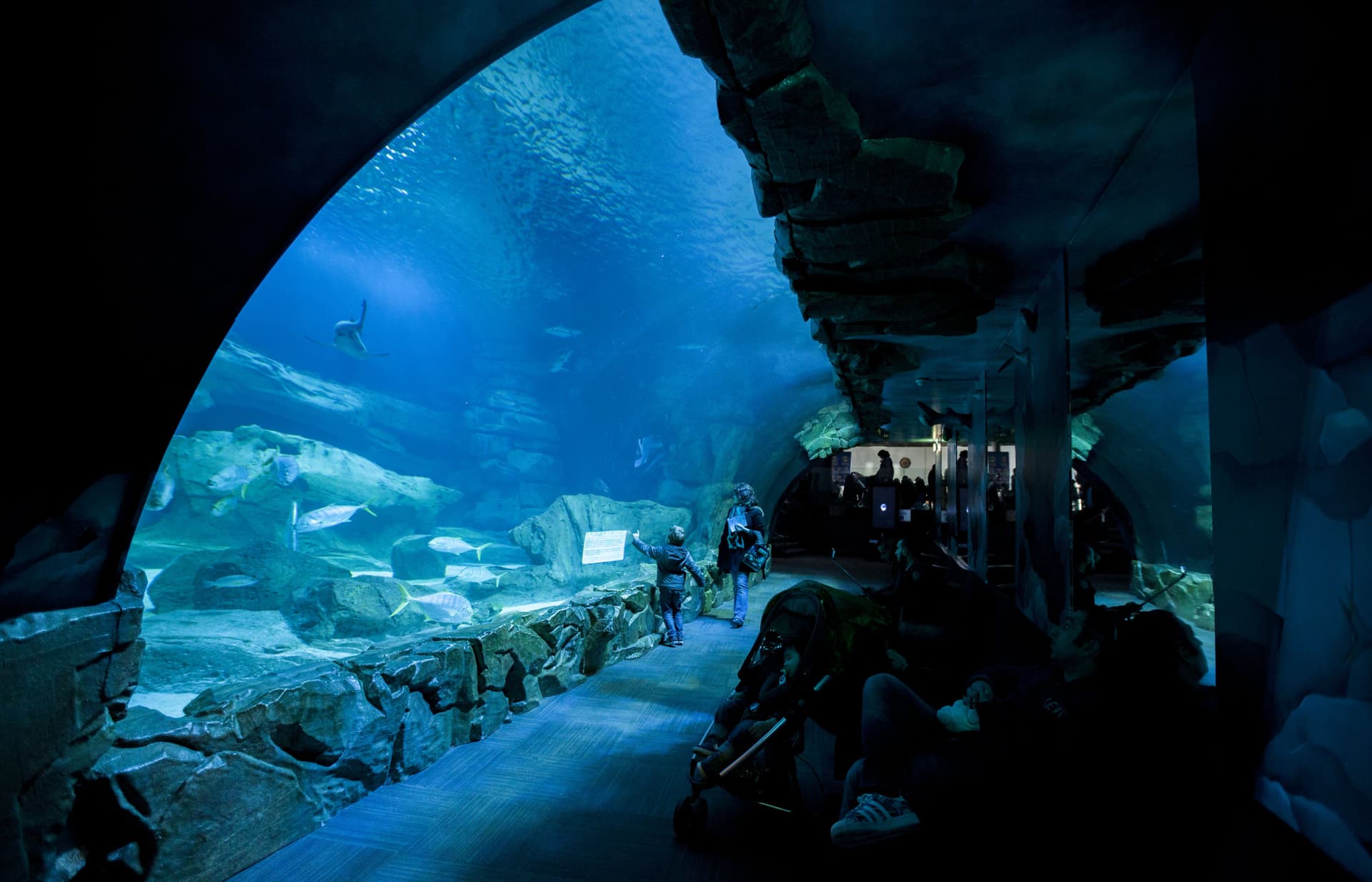 The Paris Pass Plus: Save up to 50% on Attractions - სურათი 27